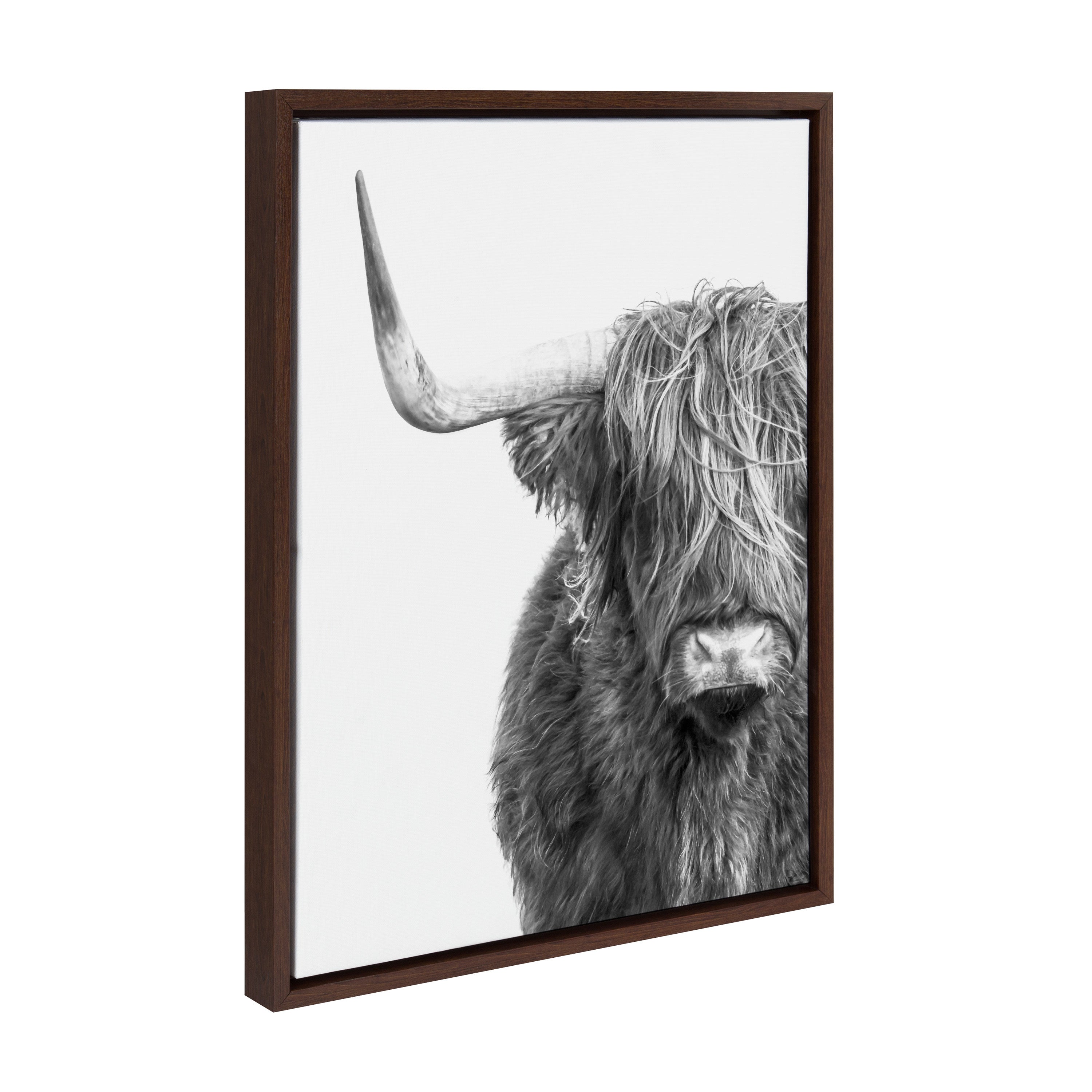Sylvie B&W Highland Cow No. 1 Framed Canvas by Amy Peterson Art Studio