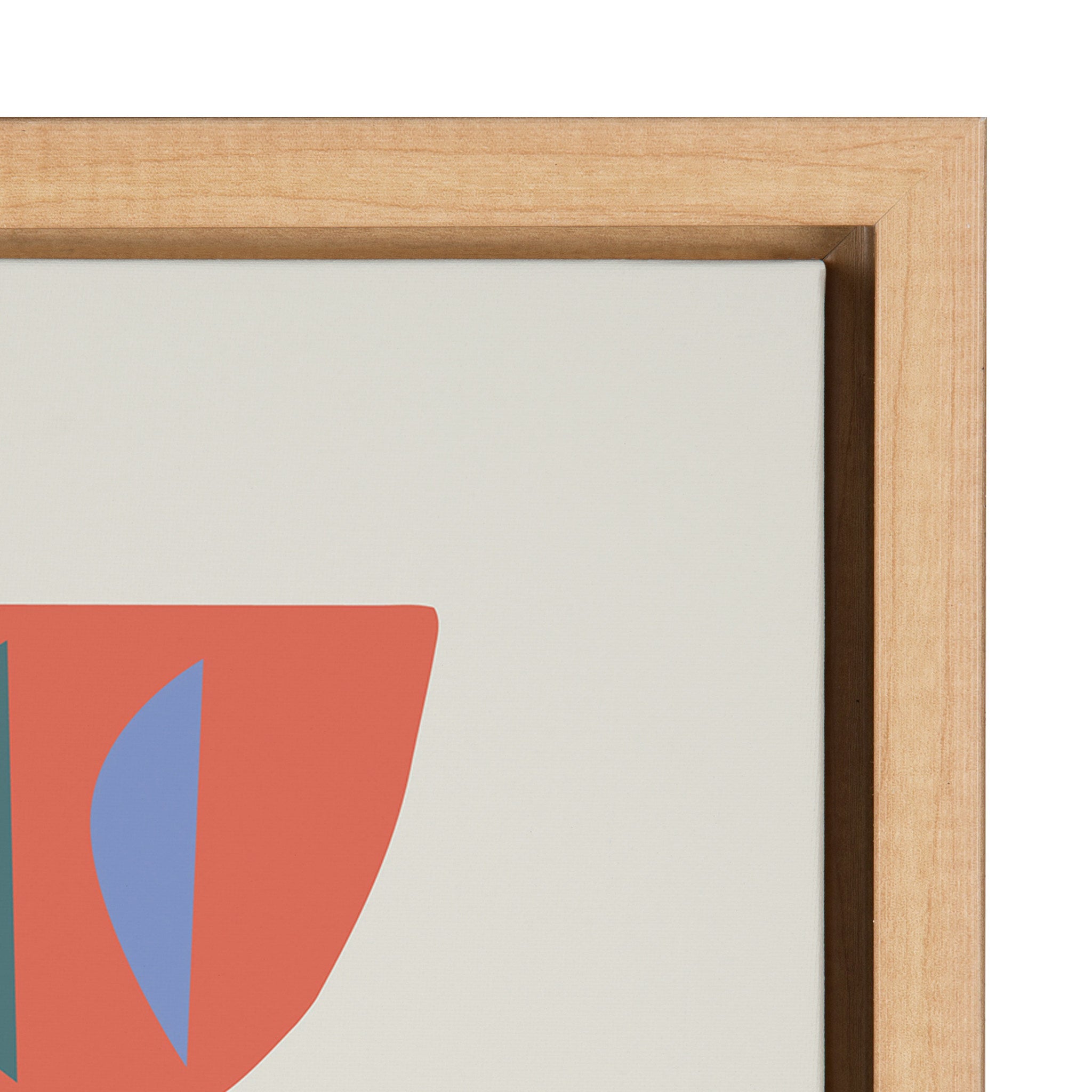 Sylvie Mid Century Succulents Framed Canvas by kateandlaurel - product image 3 for Resin Society
