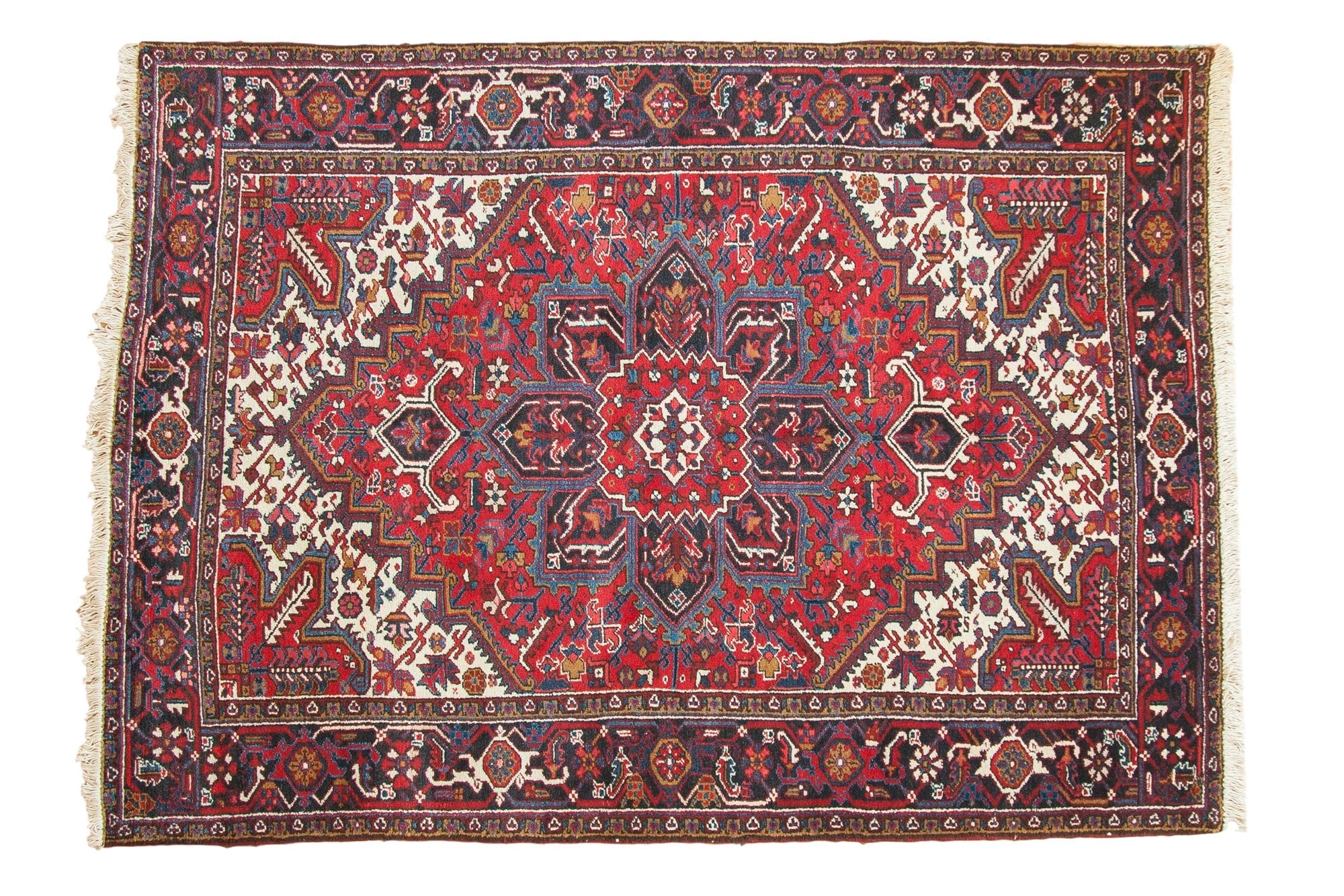 6.5x9 Vintage Mehrivan Carpet by Old New House® - main product image for Resin Society