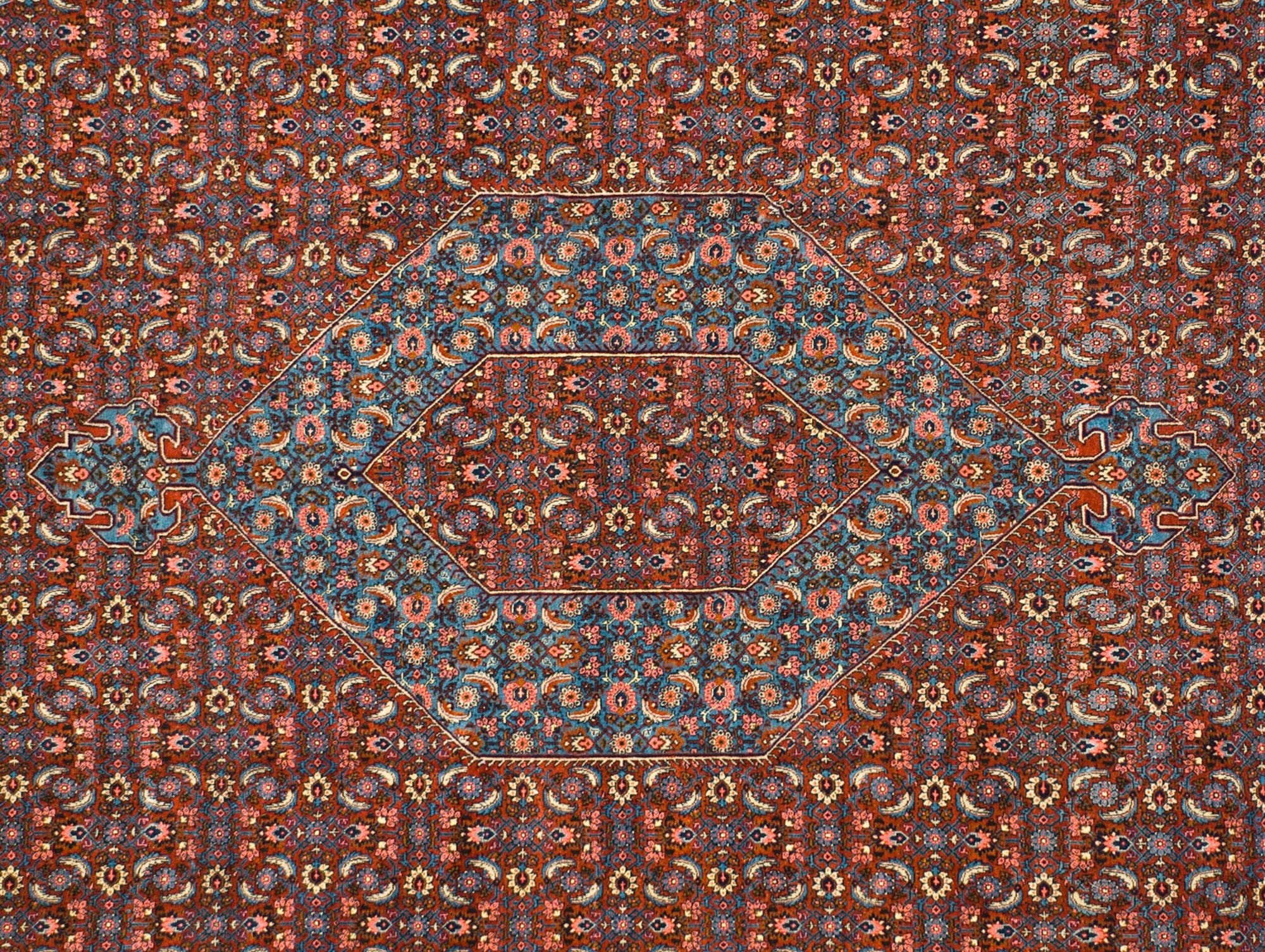 12.5x19.5 Vintage Ardebil Carpet by Old New House® - product image 2 for Resin Society