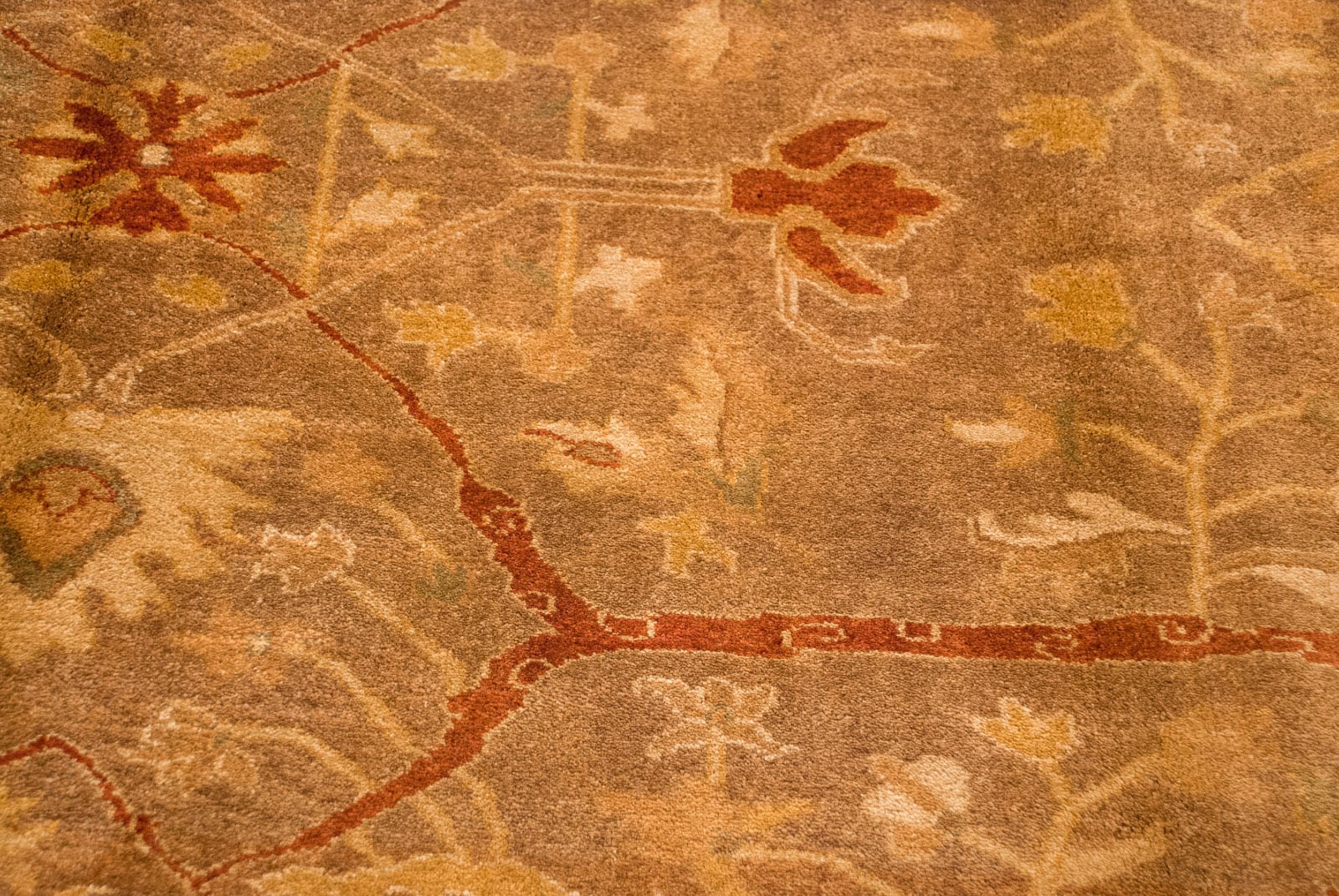 8.5x11.5 New Gold Wash Indian Oushak Design Carpet by Old New House® - product image 4 for Resin Society