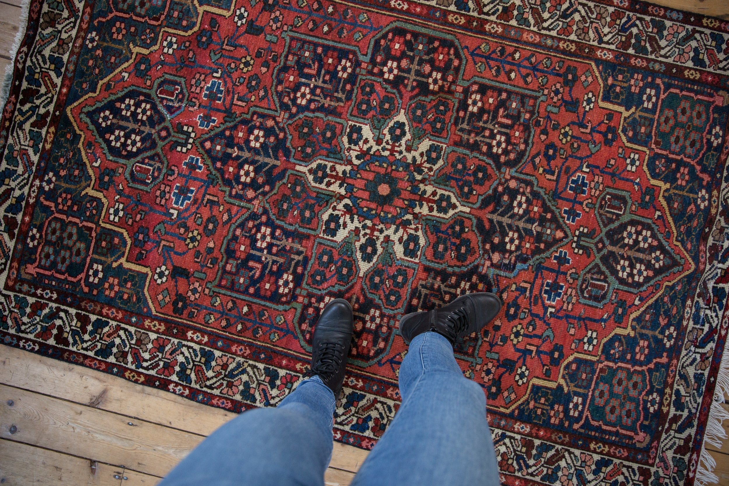 4.5x6.5 Vintage Baktiari Rug by Old New House® - product image 2 for Resin Society