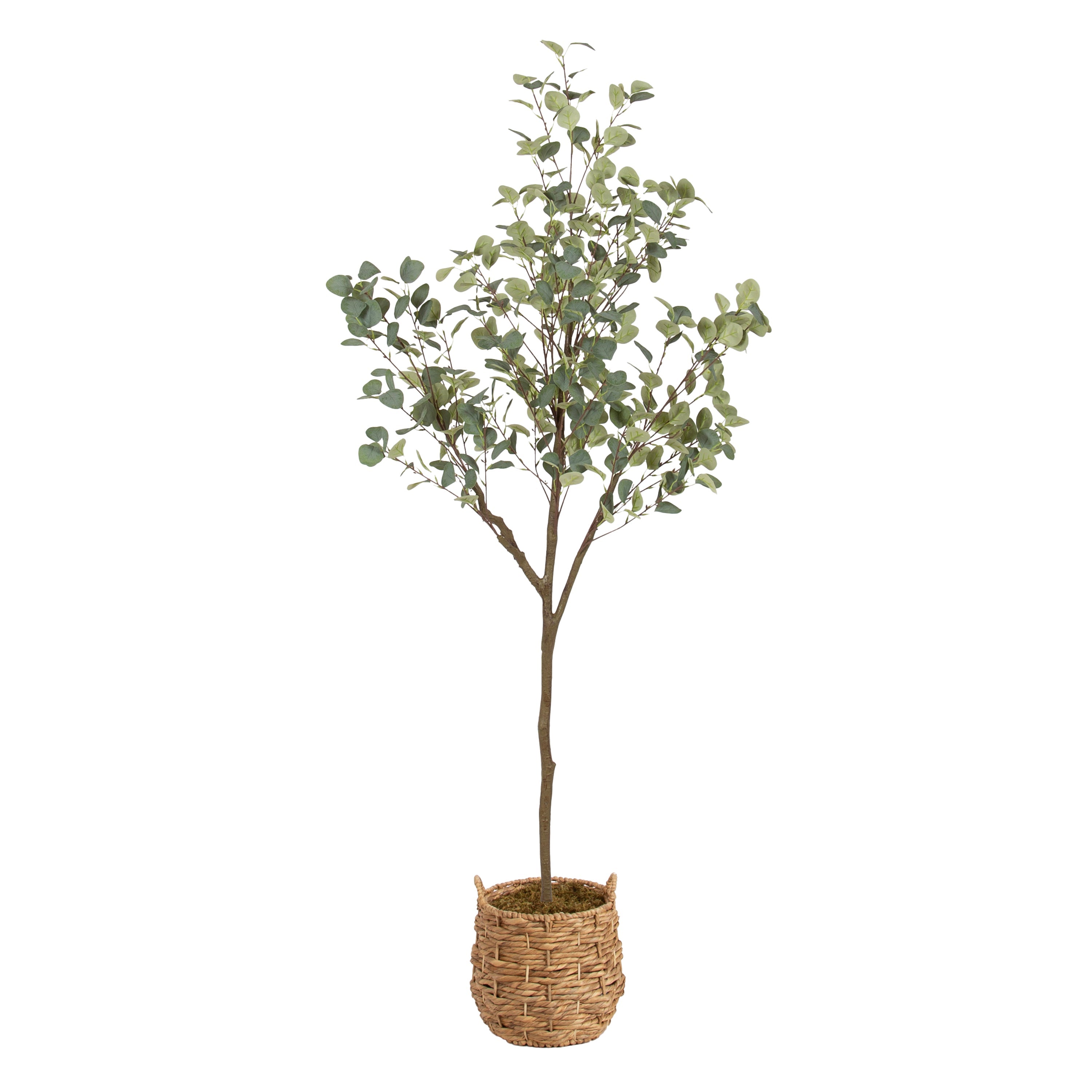 Eudora Faux Eucalyptus Tree - Kate and Laurel