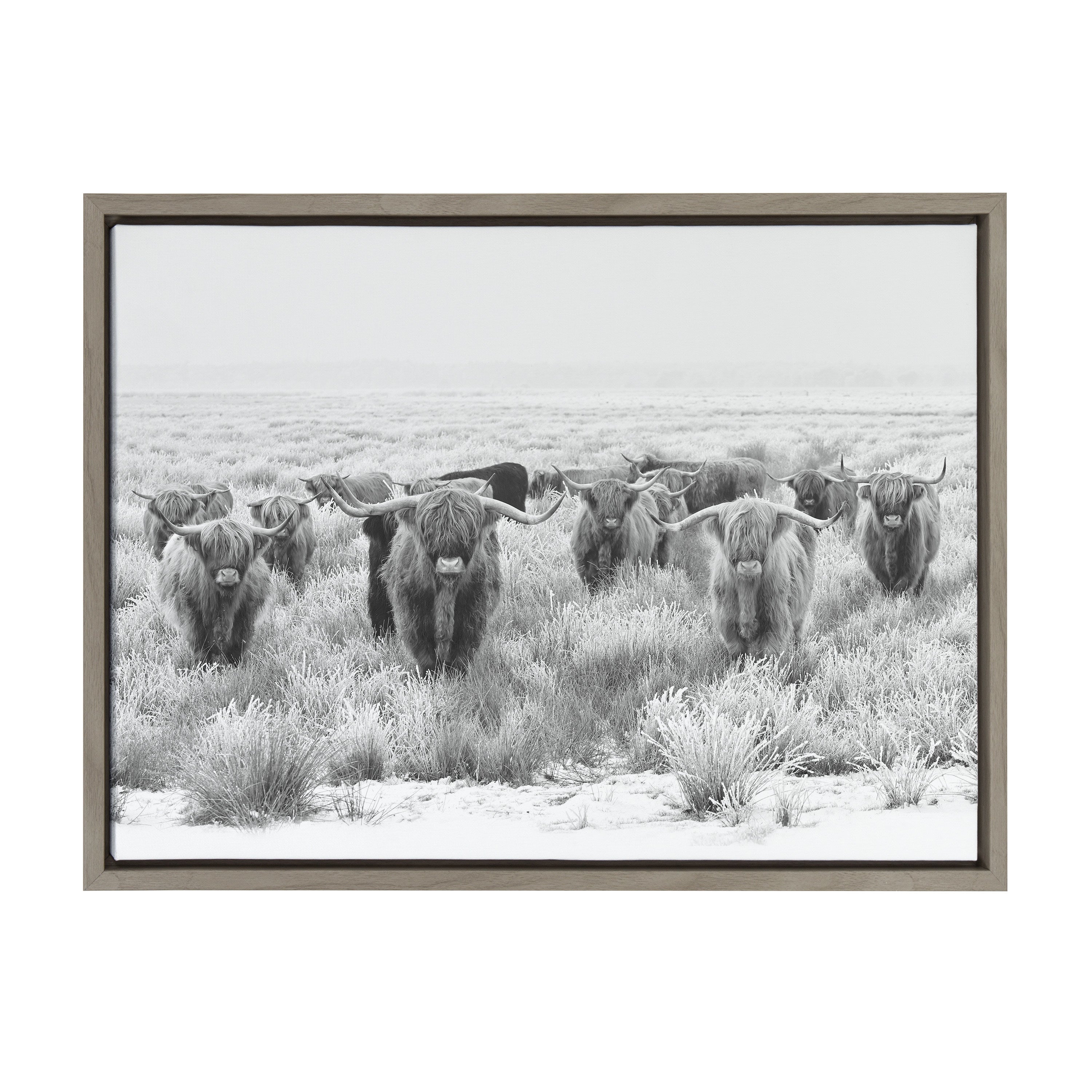 Sylvie Herd of Highland Cows Black and White Framed Canvas by The by kateandlaurel - product image 17 for Resin Society