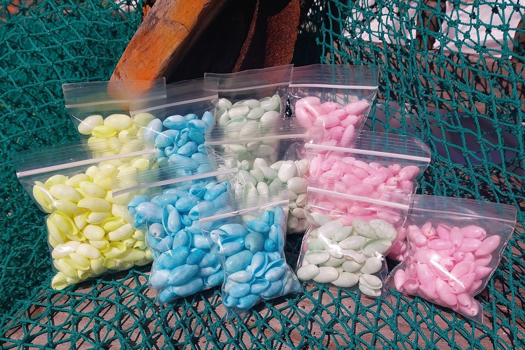 Bulk pastel dyed bubble shells in soft pink, blue, seafoam green, and yellow shades for crafting and DIY projects