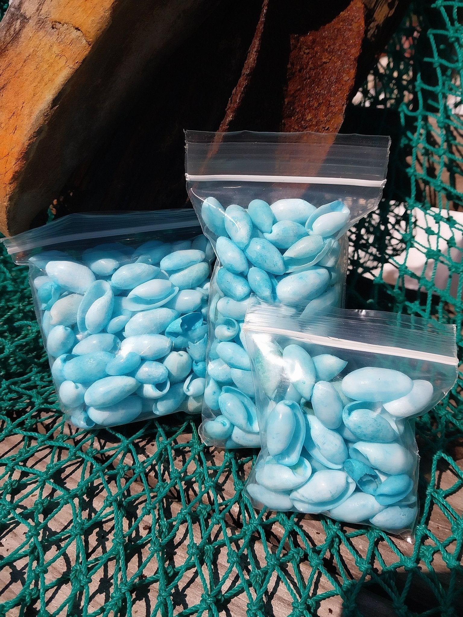 Bulk pastel dyed bubble shells in soft pink, blue, seafoam green, and yellow shades for crafting and DIY projects