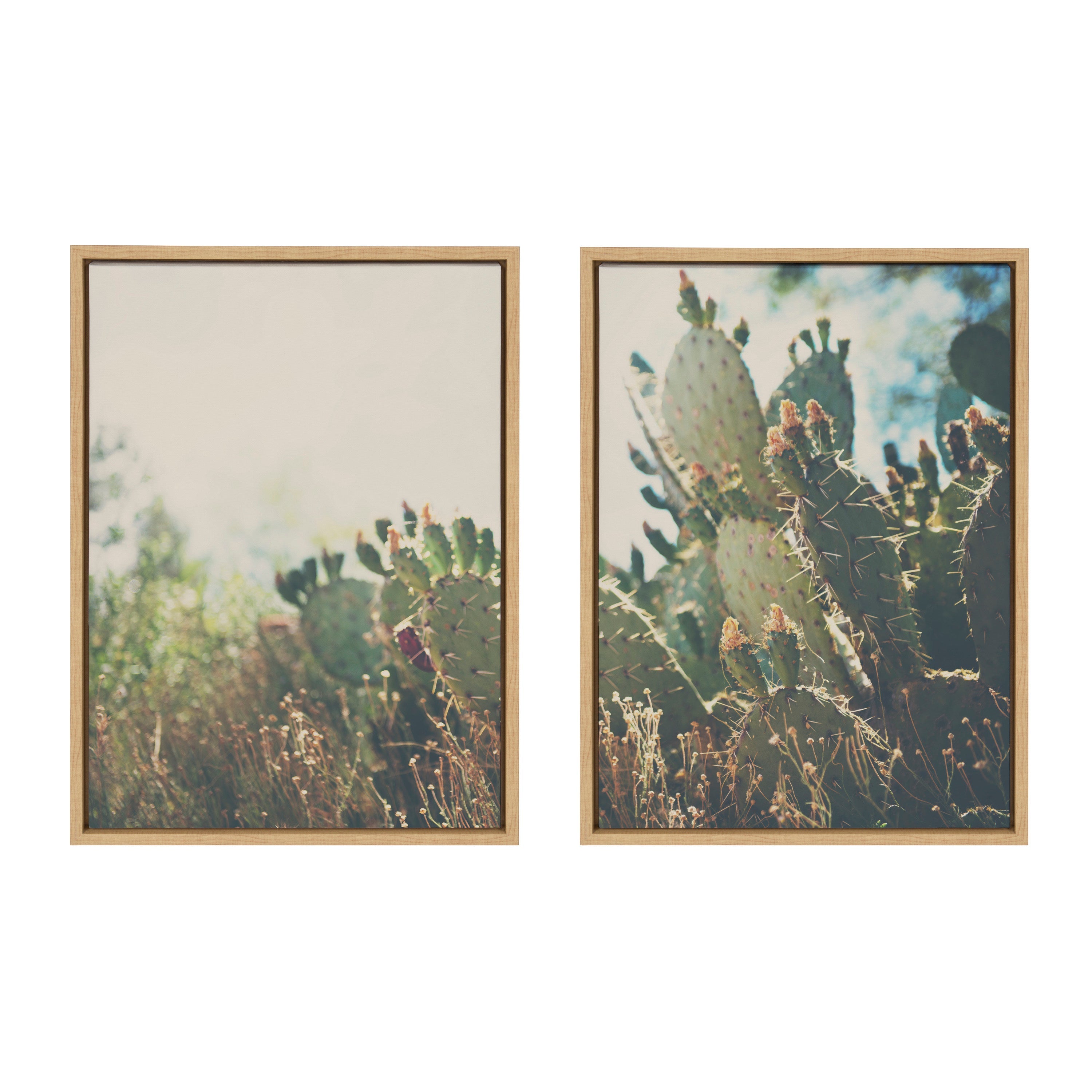 Sylvie A Desert Prickly Pear Cactus 1 and 2 Framed Canvas Art Set by Laura Evans