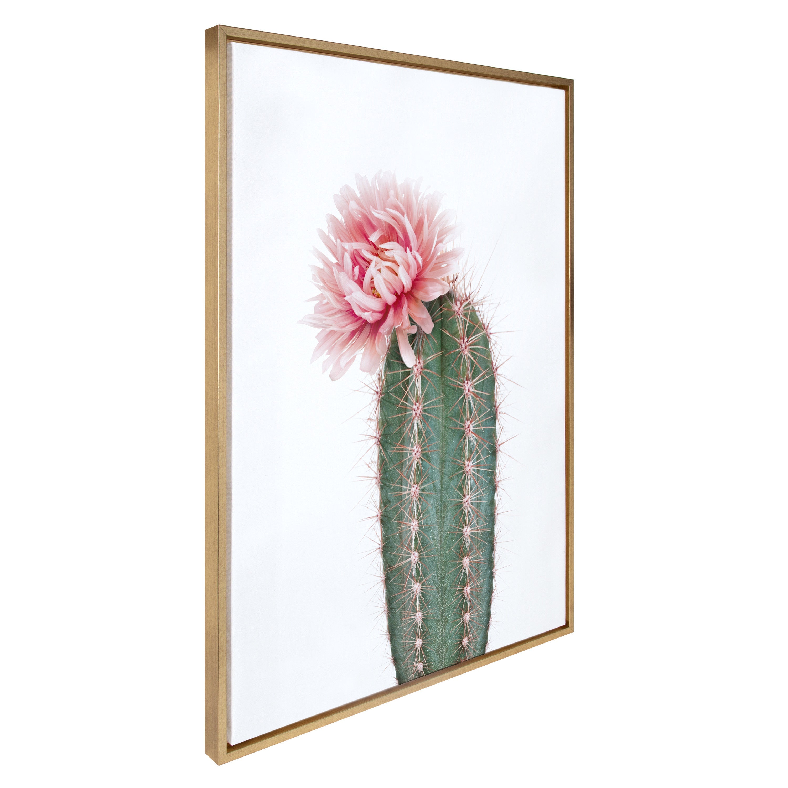 Sylvie Pink Cactus Flower Framed Canvas by Amy Peterson Art Studio