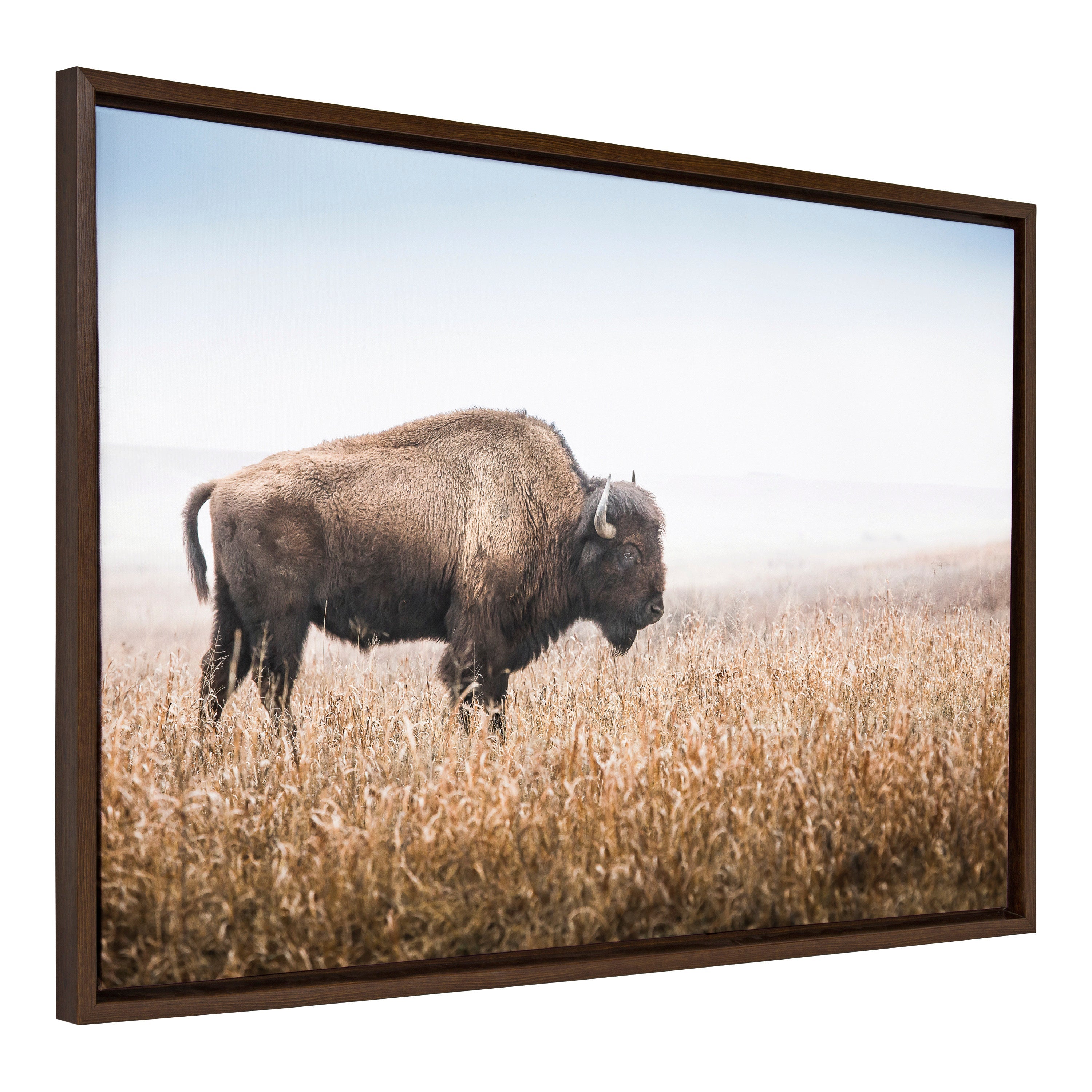 Sylvie American Bison Buffalo in Prairie Grass framed canvas art by Warren Metcalf