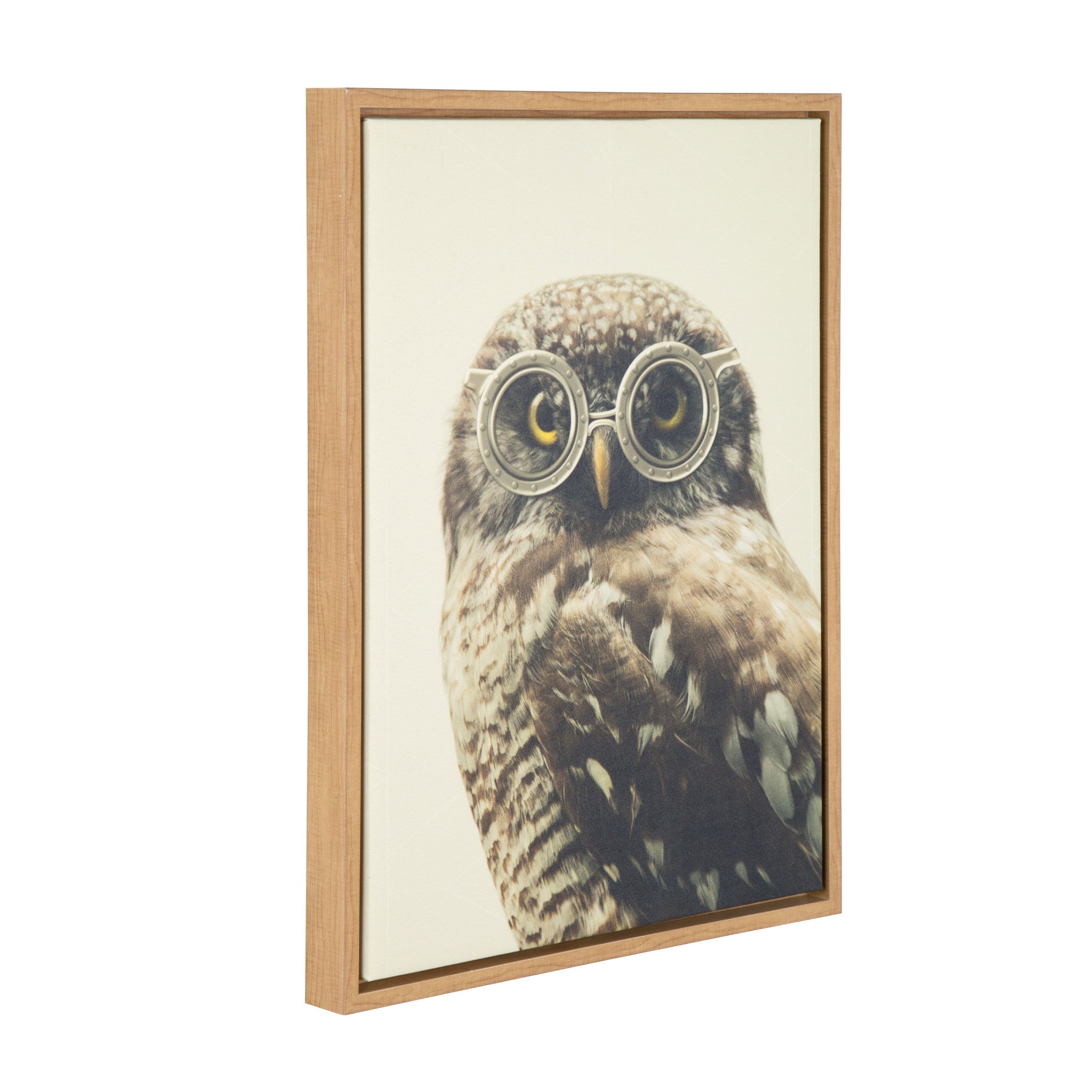 Sylvie Owl Wearing Glasses Framed Canvas by kateandlaurel - product image 2 for Resin Society