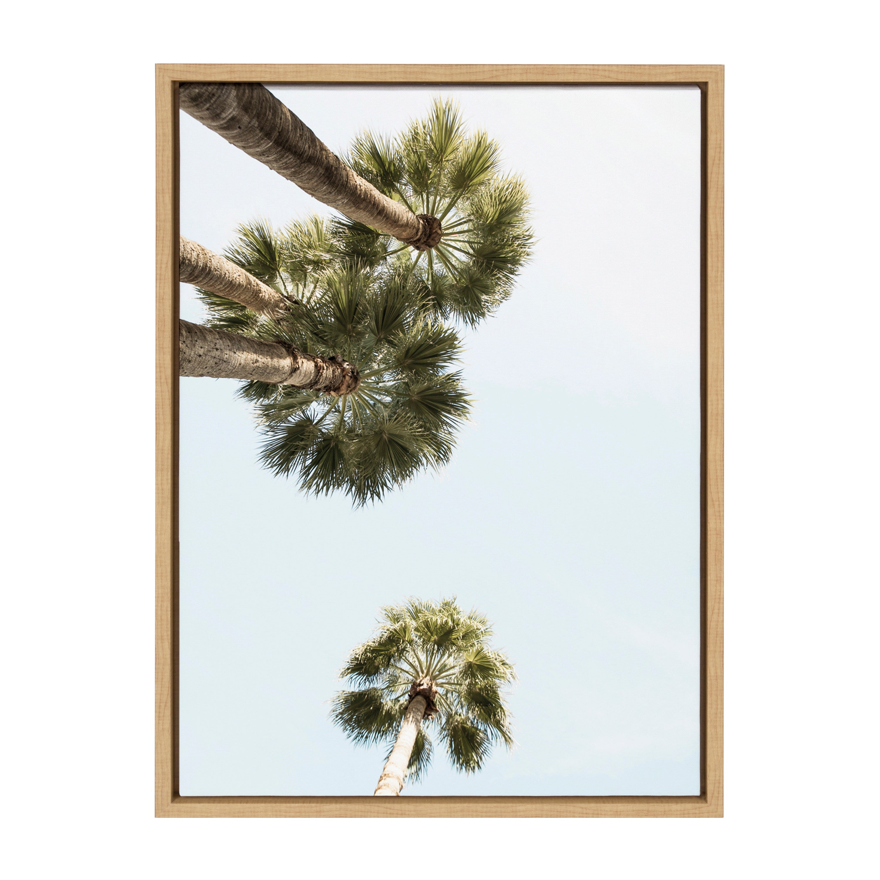 Sylvie Palm Trees Above Framed Canvas by kateandlaurel - product image 8 for Resin Society