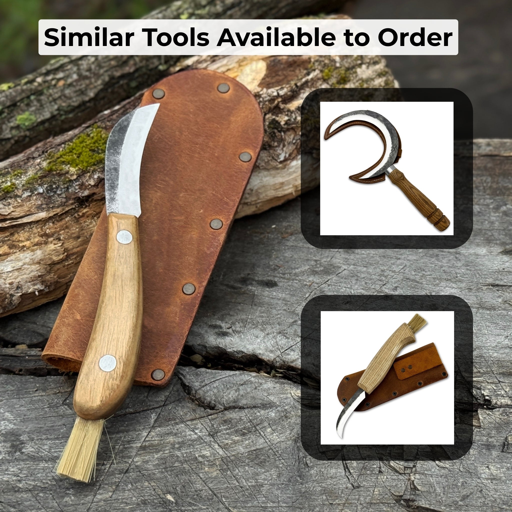 Mushroom knife with carbon steel blade, ash wood handle, built-in brush, and leather sheath for forest foraging