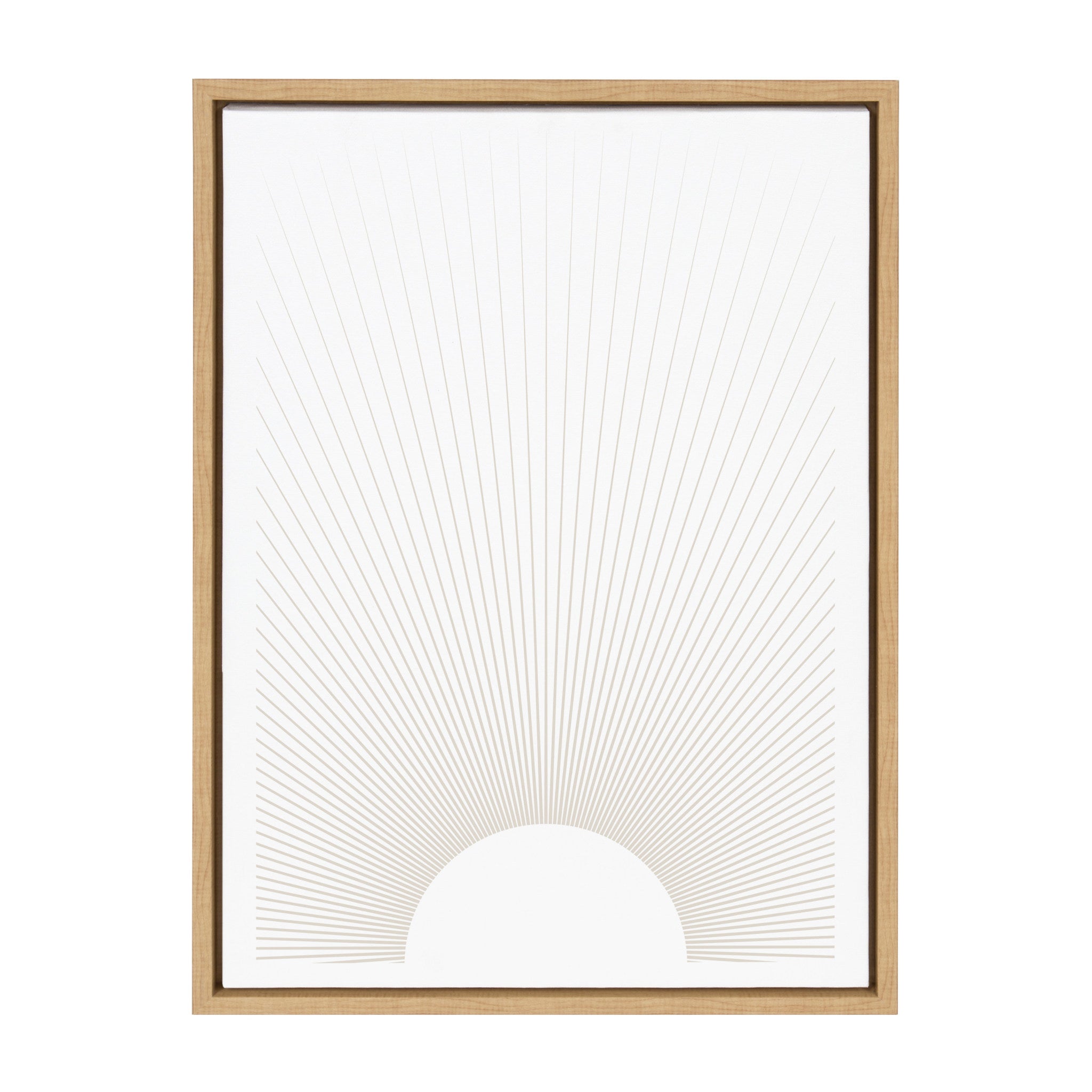 Sylvie Sun Rays Framed Canvas by Rocket Jack by kateandlaurel - product image 2 for Resin Society