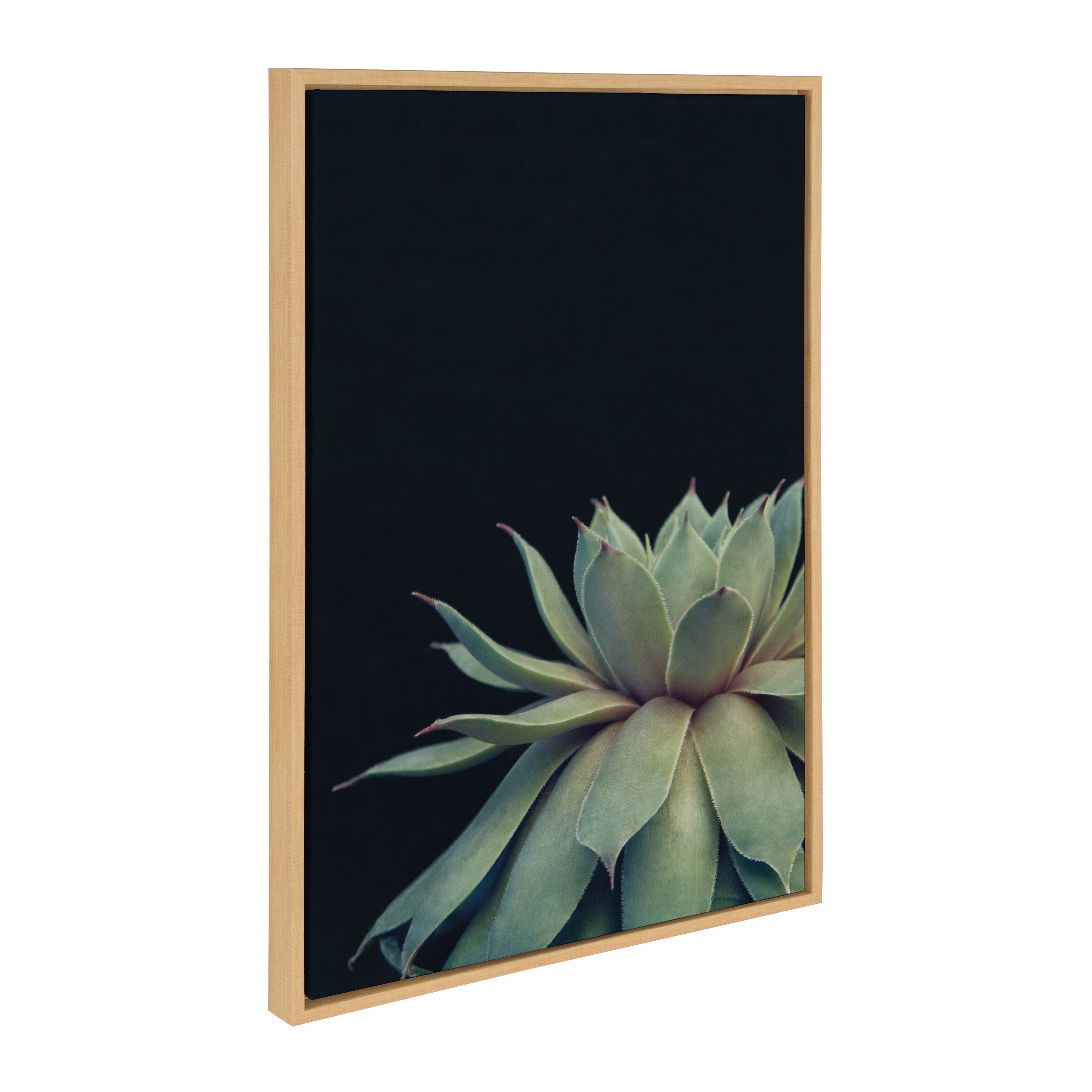 Sylvie Succulent Framed Canvas by F2 Images by kateandlaurel - product image 12 for Resin Society