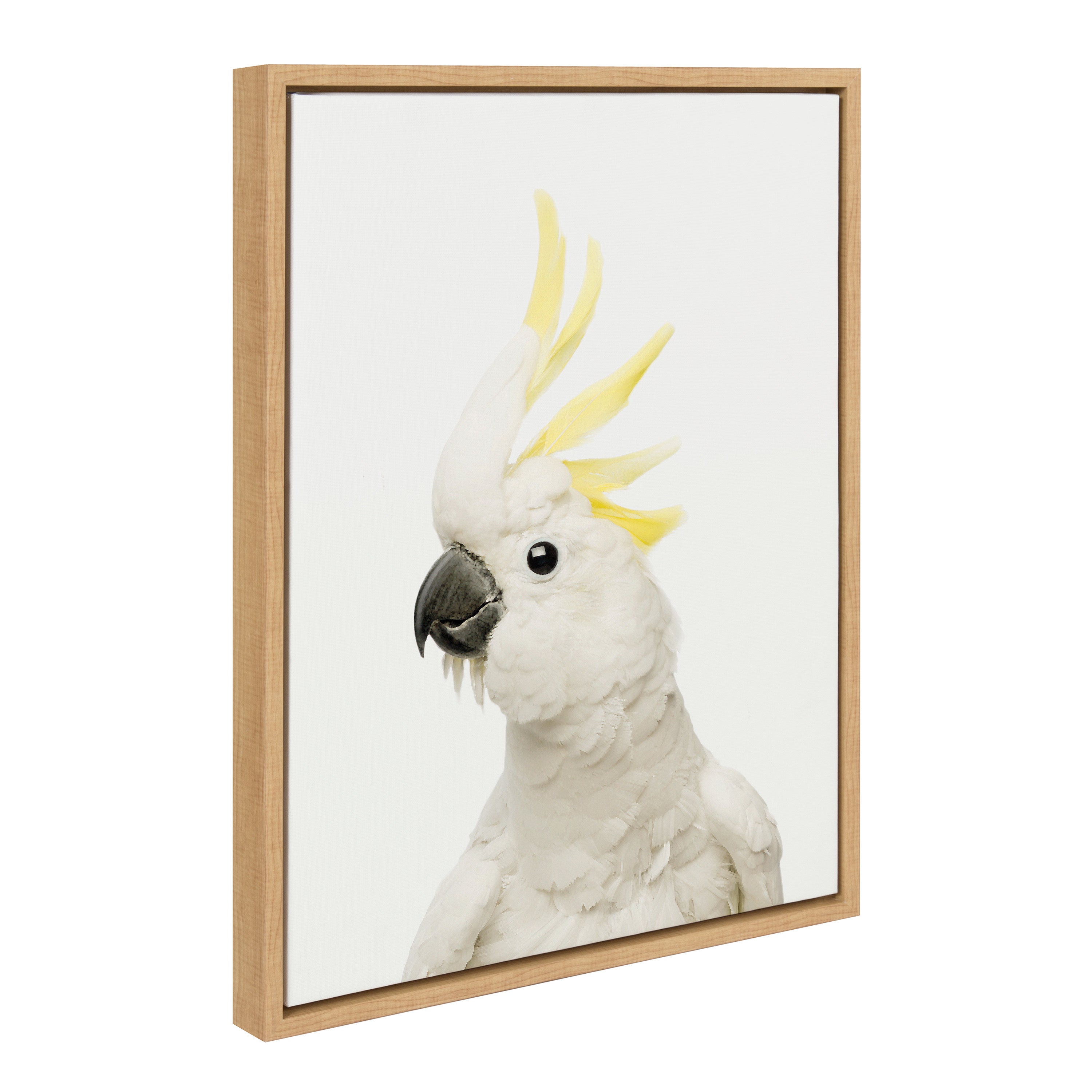 Sylvie Animal Studio Bird Framed Canvas by Amy Peterson Art Studio