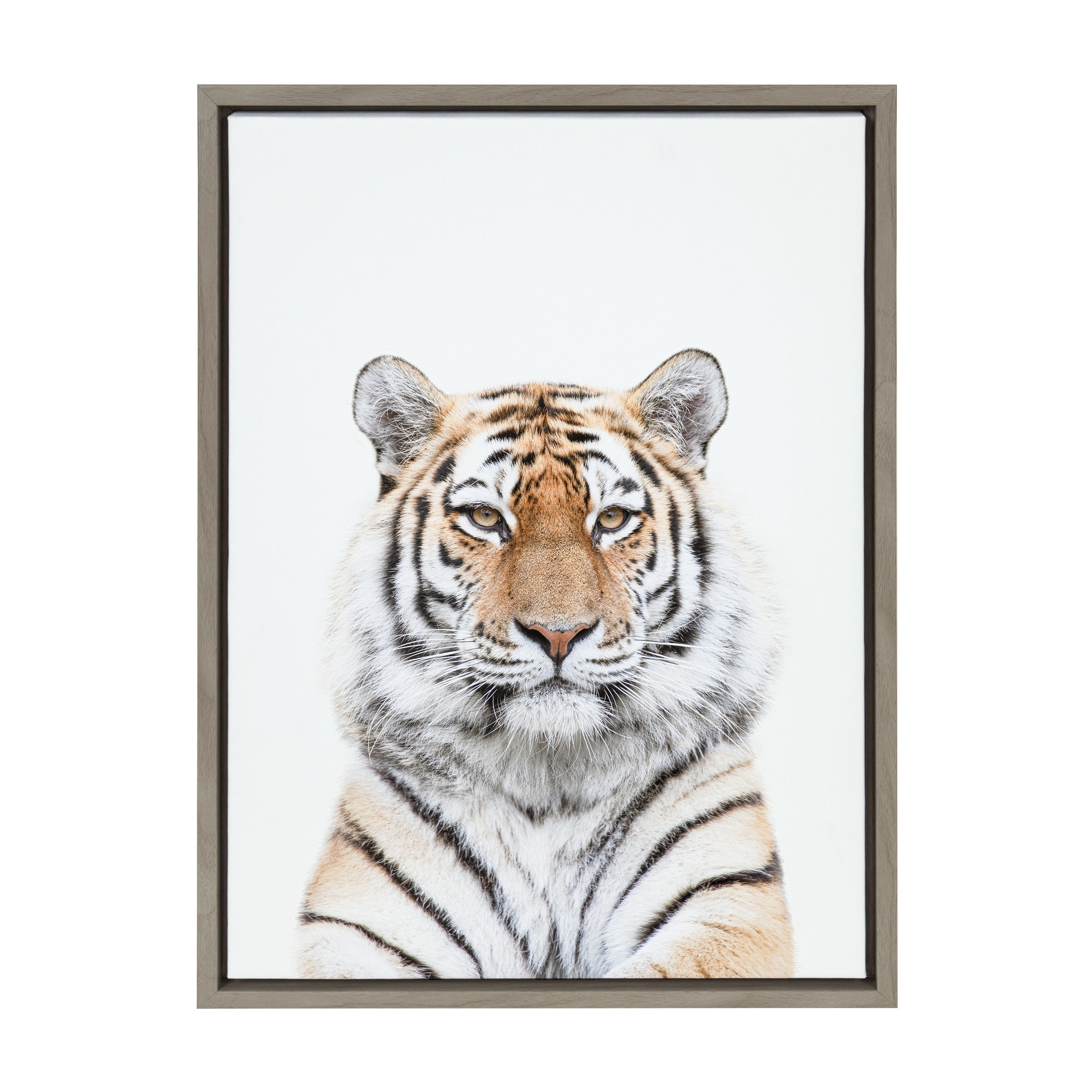 Sylvie Tiger Portrait Framed Canvas by Amy Peterson Art Studio