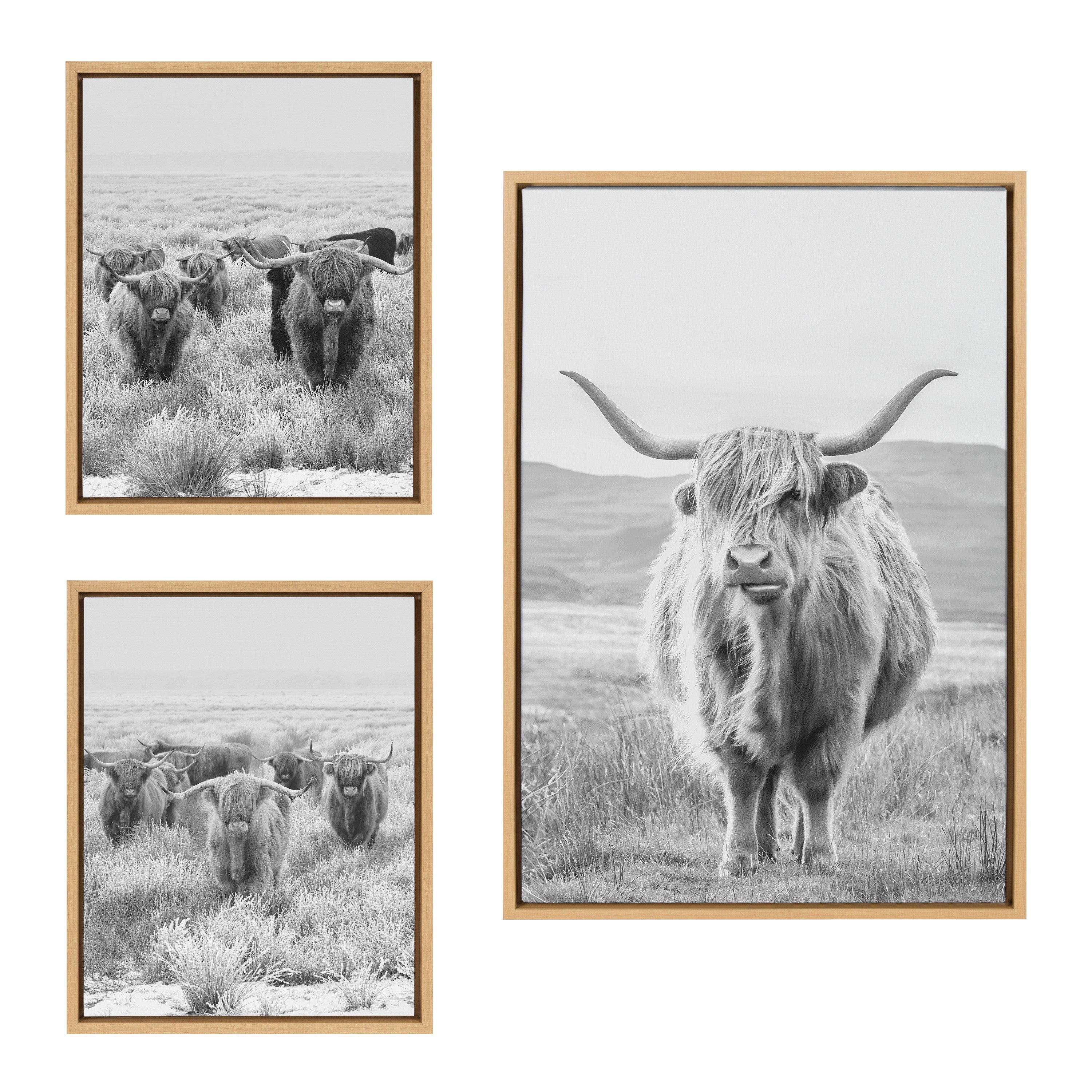Three-piece framed black and white canvas art set featuring herds of Highland cows and mountain landscape by The Creative Bunch Studio