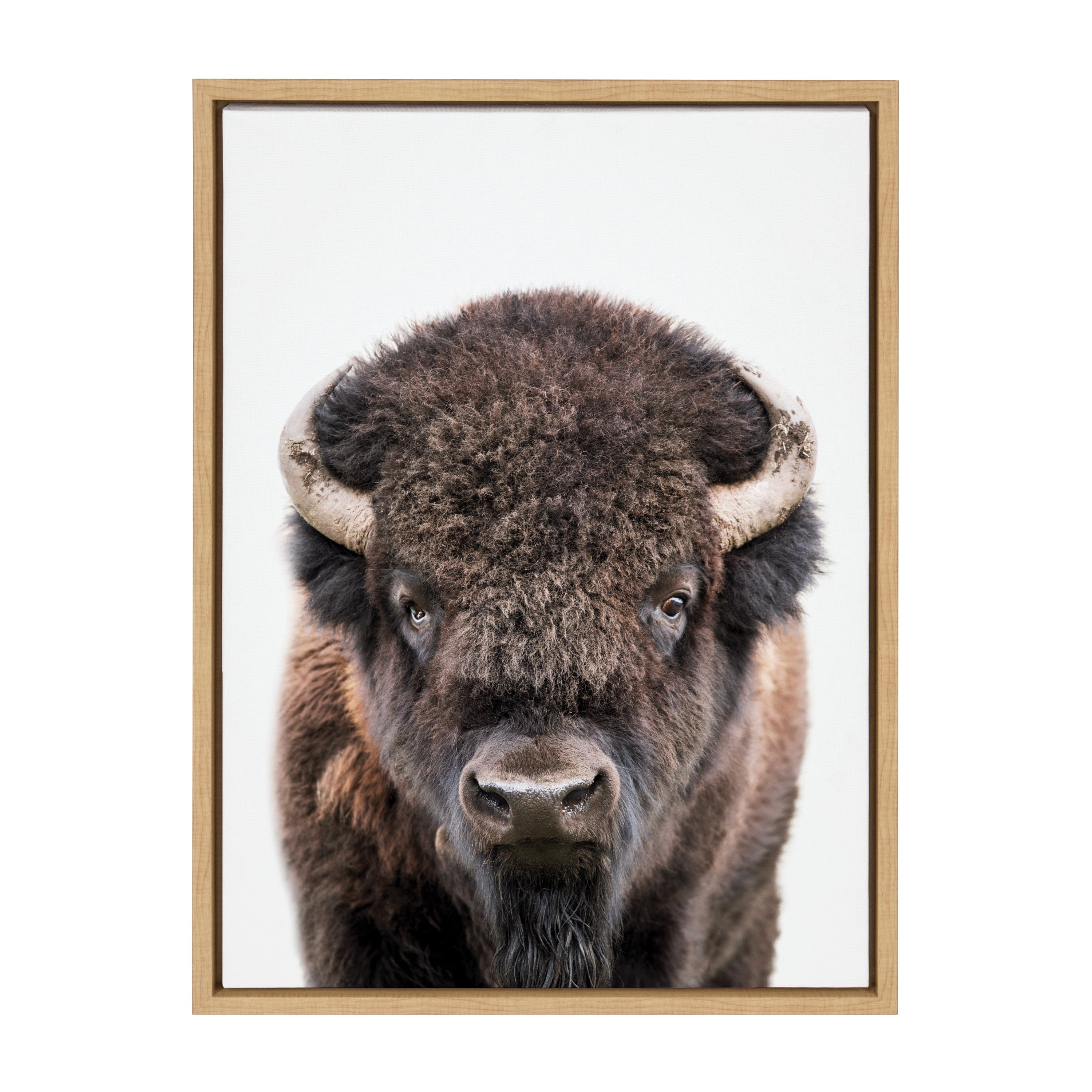 Sylvie Bison Portrait Framed Canvas by Amy Peterson Art Studio