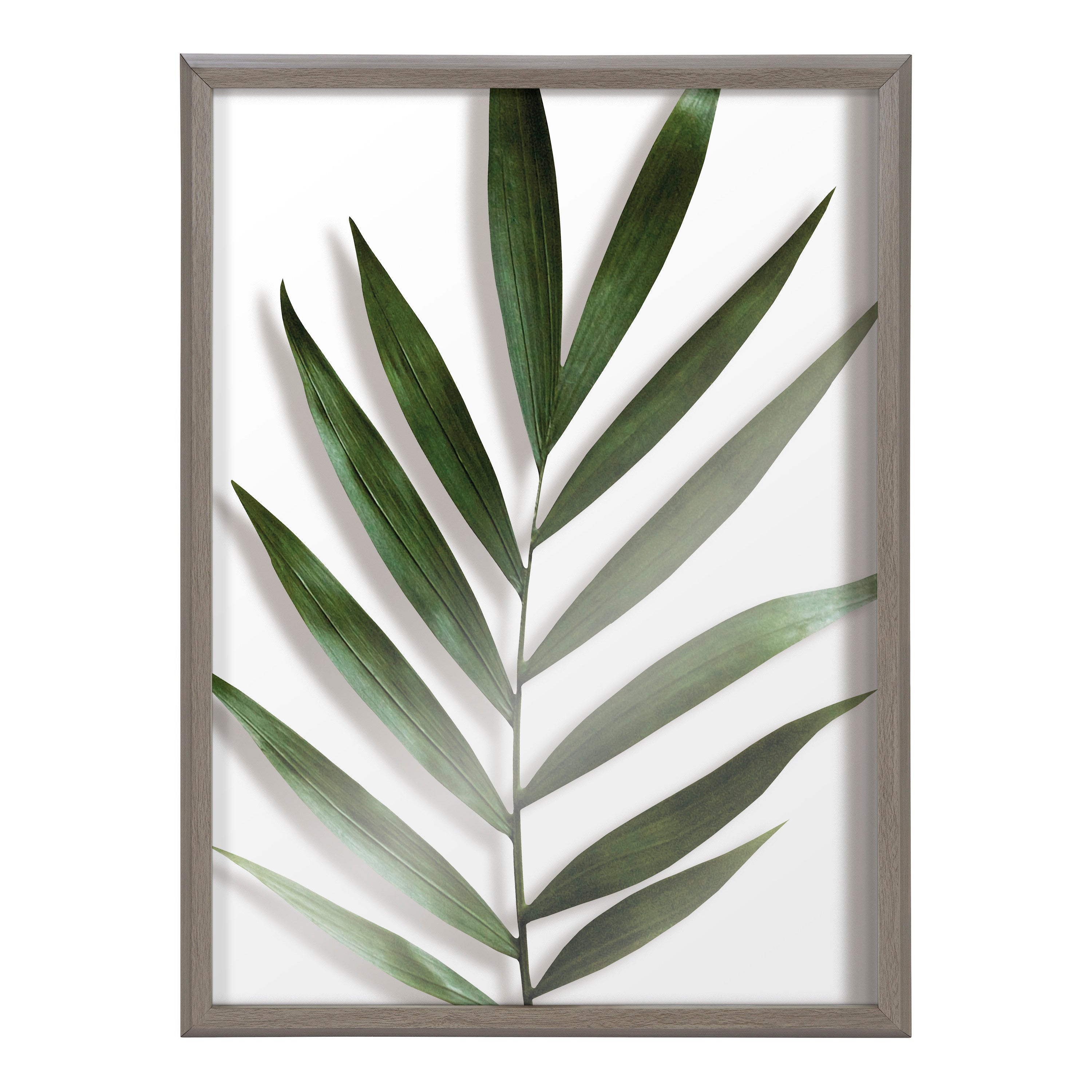 Blake Botanical 5F Framed Printed Glass by Amy Peterson by kateandlaurel - product image 8 for Resin Society