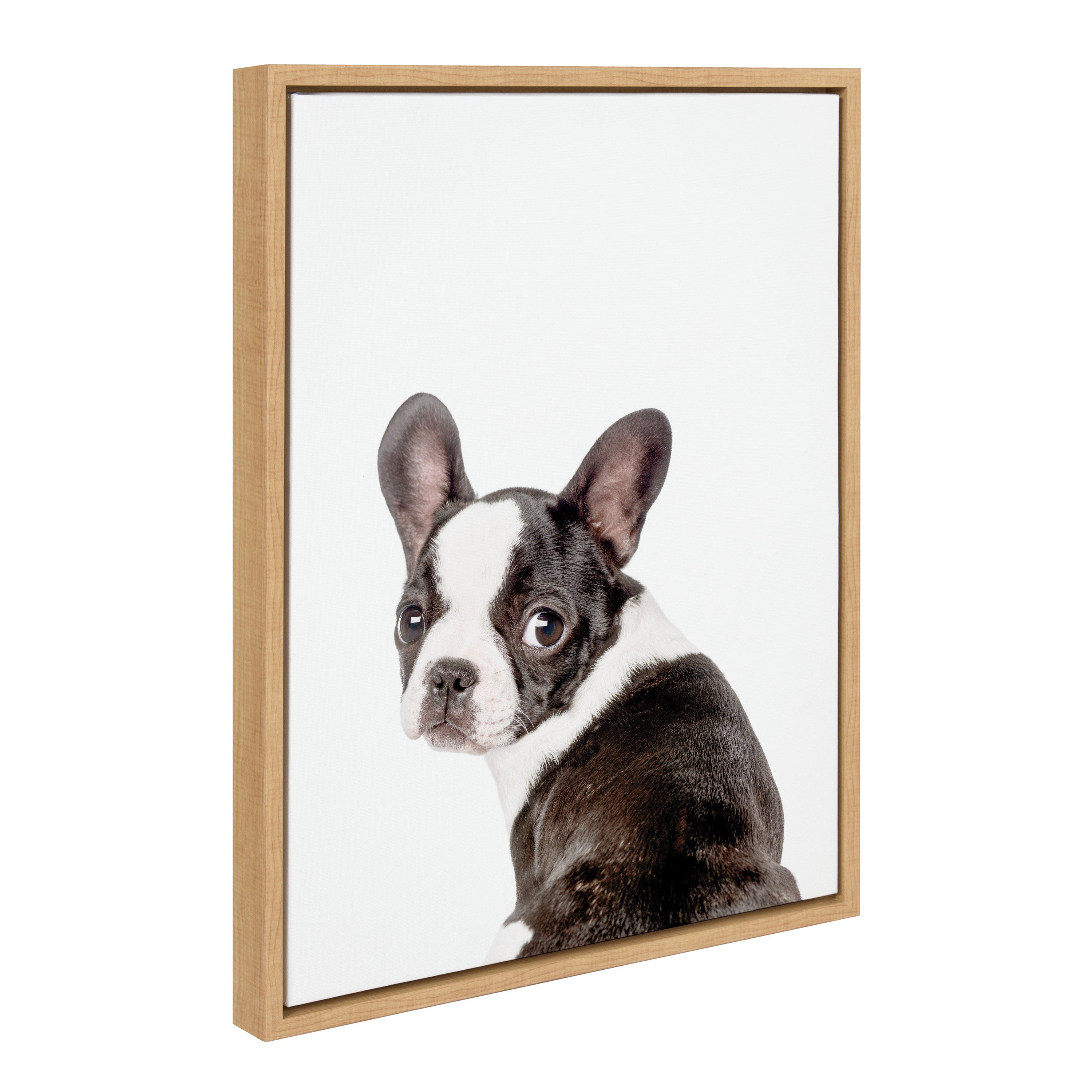 Sylvie Animal Studio French Bulldog Framed Canvas by Amy Peterson Art Studio