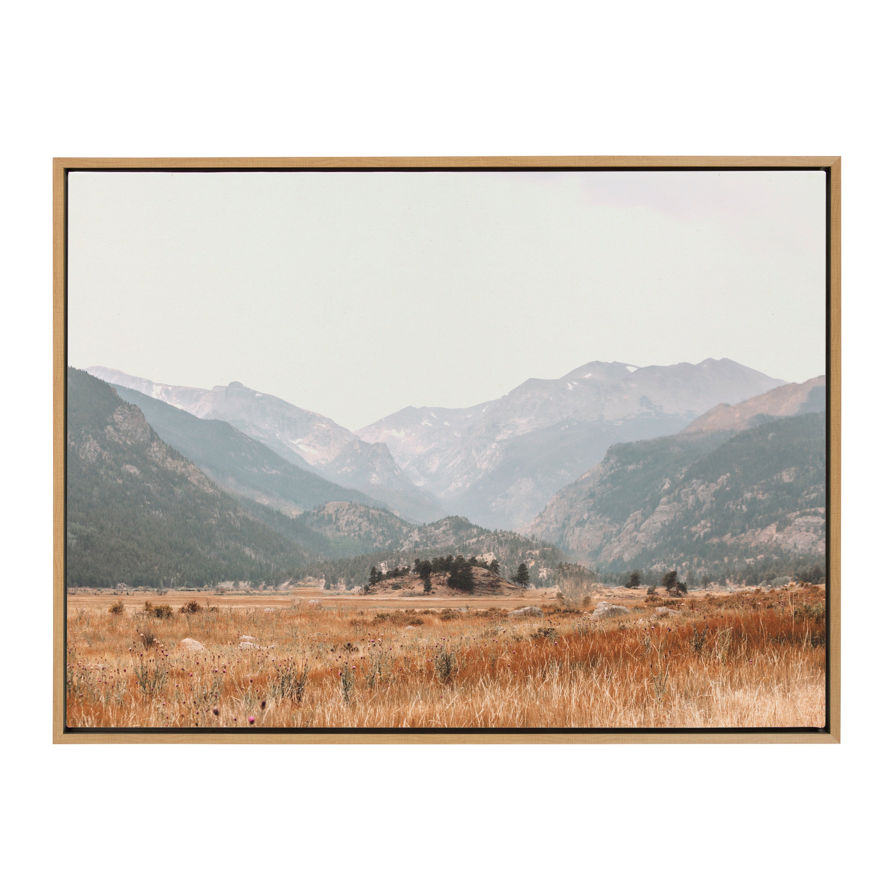 Sylvie AA Wanderings Framed Canvas by Alicia Abla