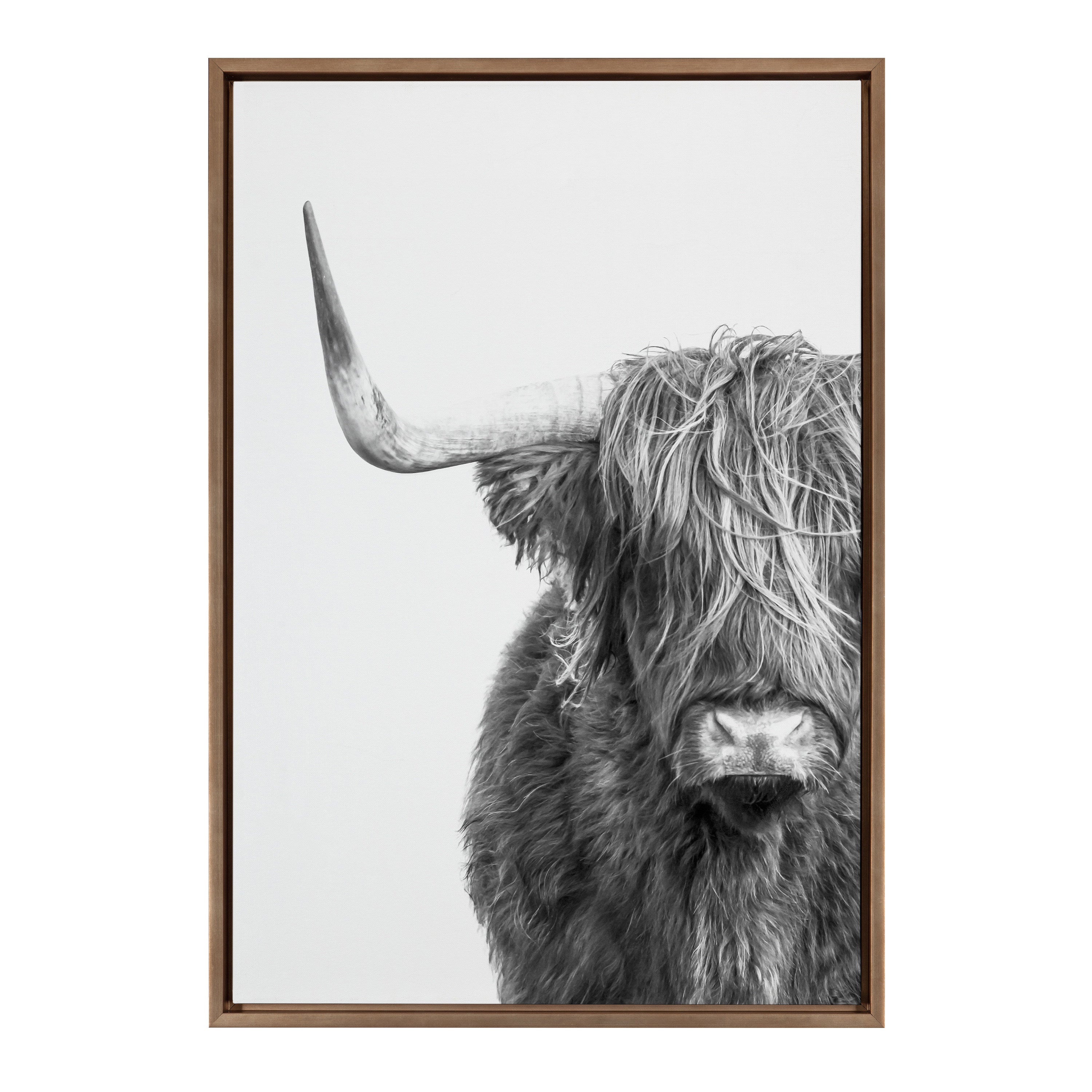 Sylvie B&W Highland Cow No. 1 Framed Canvas by Amy Peterson Art Studio