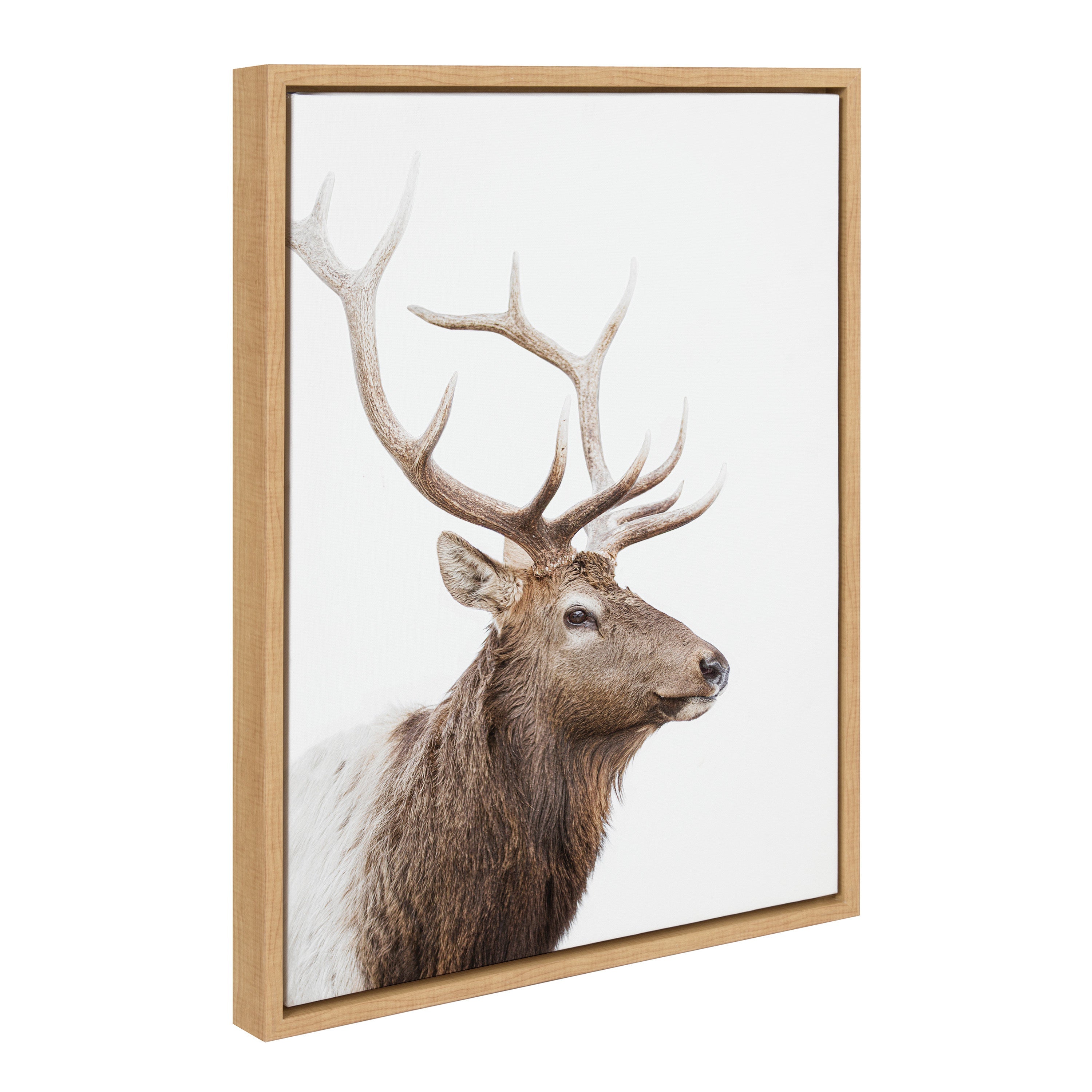 Sylvie Stag Profile Framed Canvas by Amy Peterson Art Studio