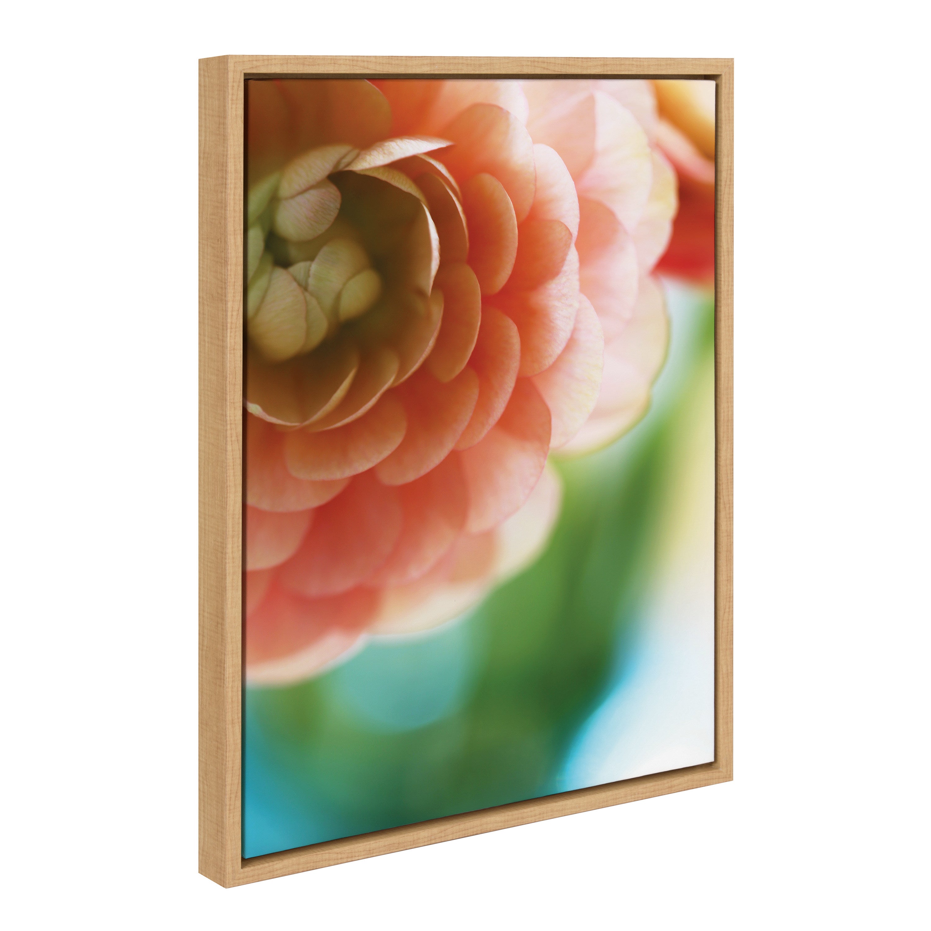 Framed canvas artwork showing a close-up of delicate flower petals in warm light