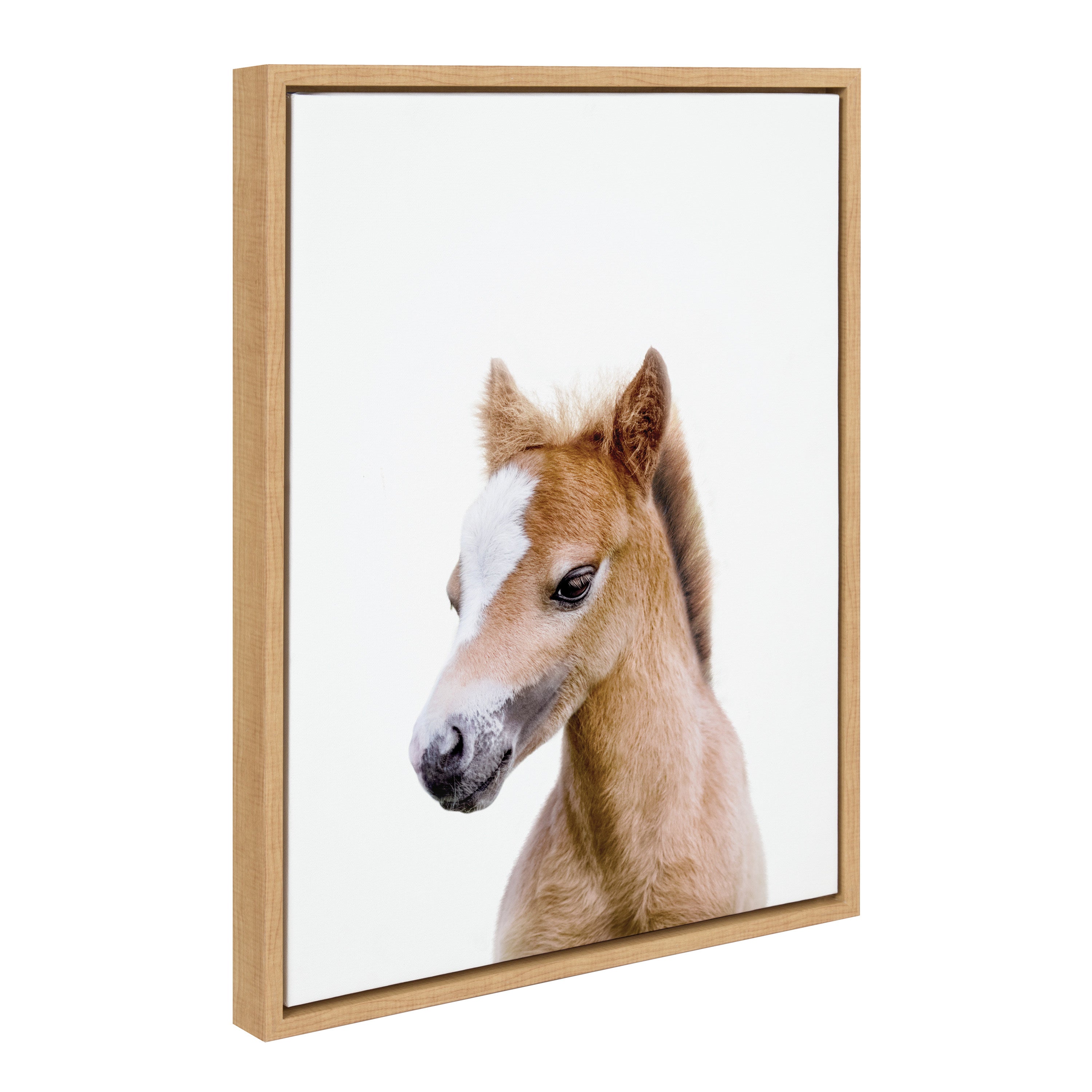 Sylvie Animal Studio Baby Horse Framed Canvas by Amy Peterson Art Studio