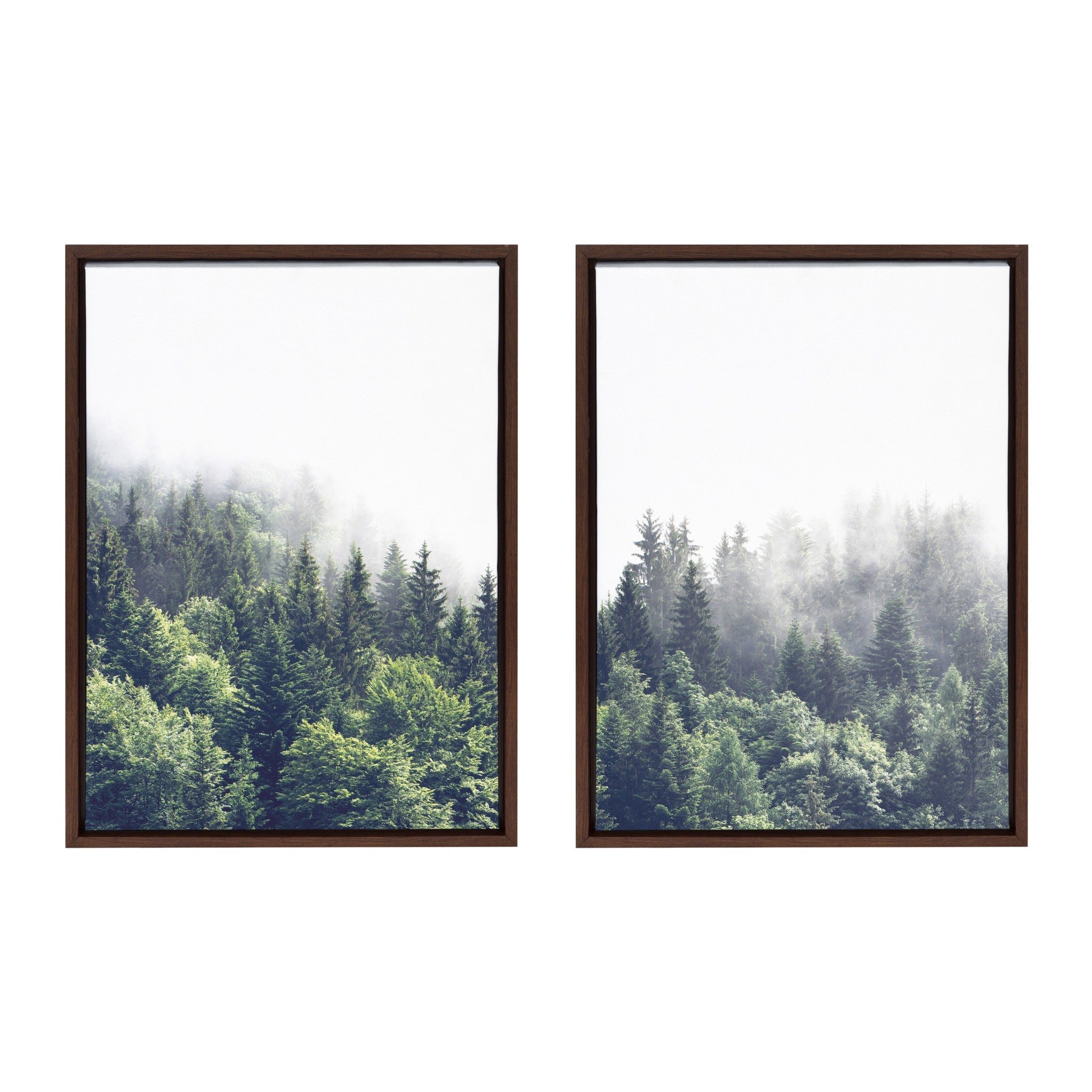 Sylvie Lush Green Forest on a Foggy Day Framed Canvas Set by kateandlaurel - main product image for Resin Society