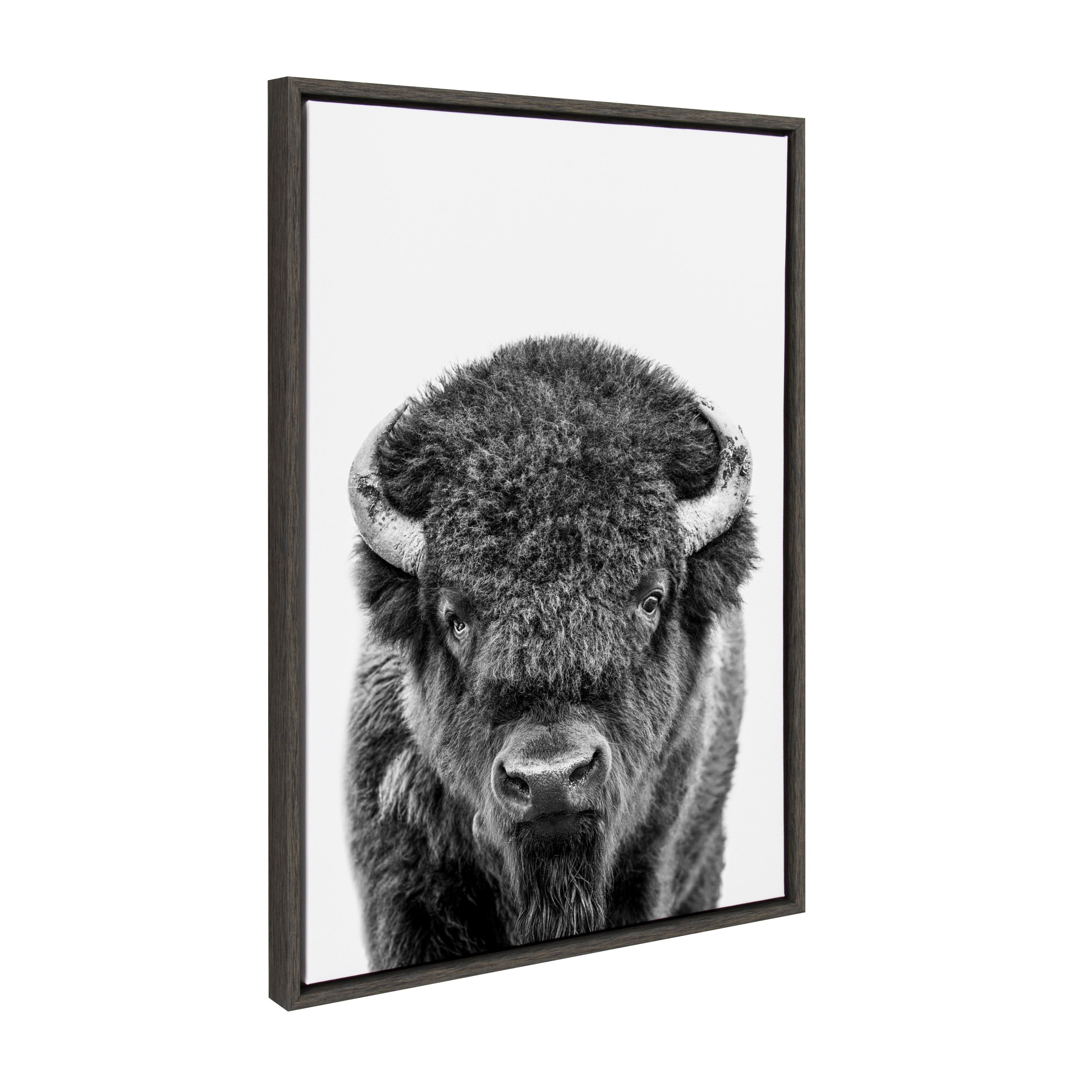 Sylvie Bison Portrait Black and White Framed Canvas by Amy Peterson Art Studio