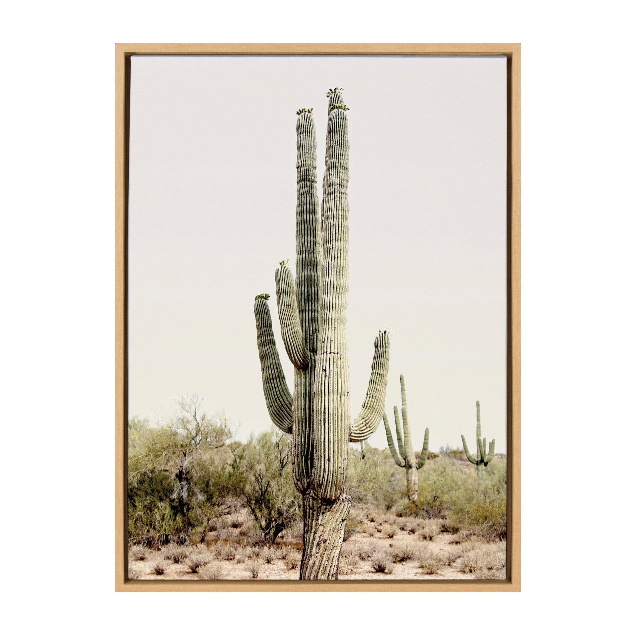 Sylvie Sunrise Cactus floating framed canvas art showing a bright green cactus in desert sunrise colors
