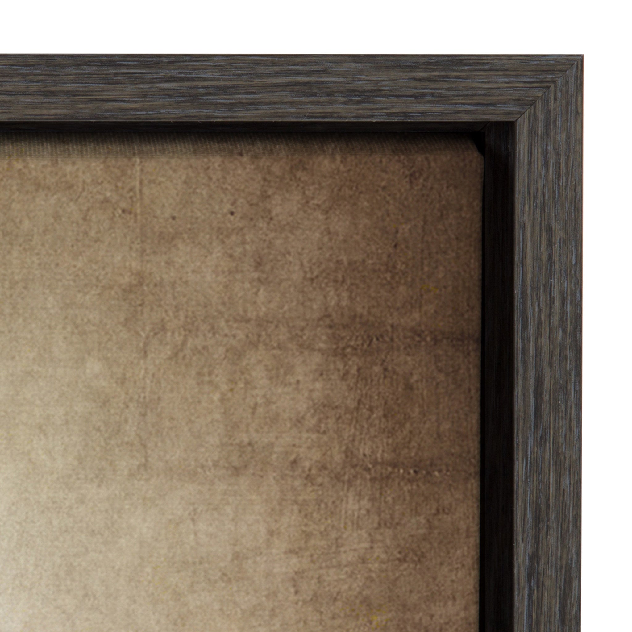 Sylvie Three Vintage Bats Framed Canvas by kateandlaurel - product image 3 for Resin Society
