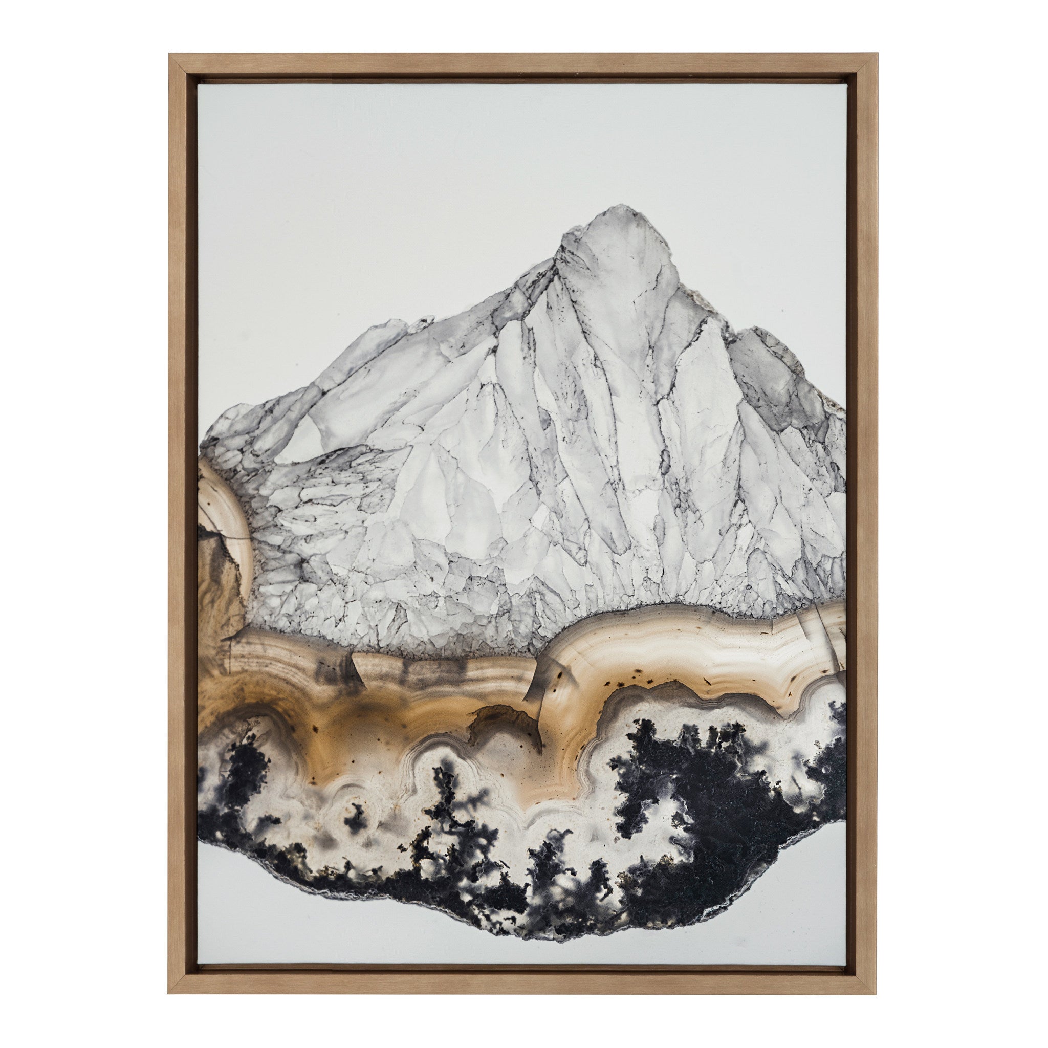 Sylvie Ancient History Framed Canvas by kateandlaurel - main product image for Resin Society