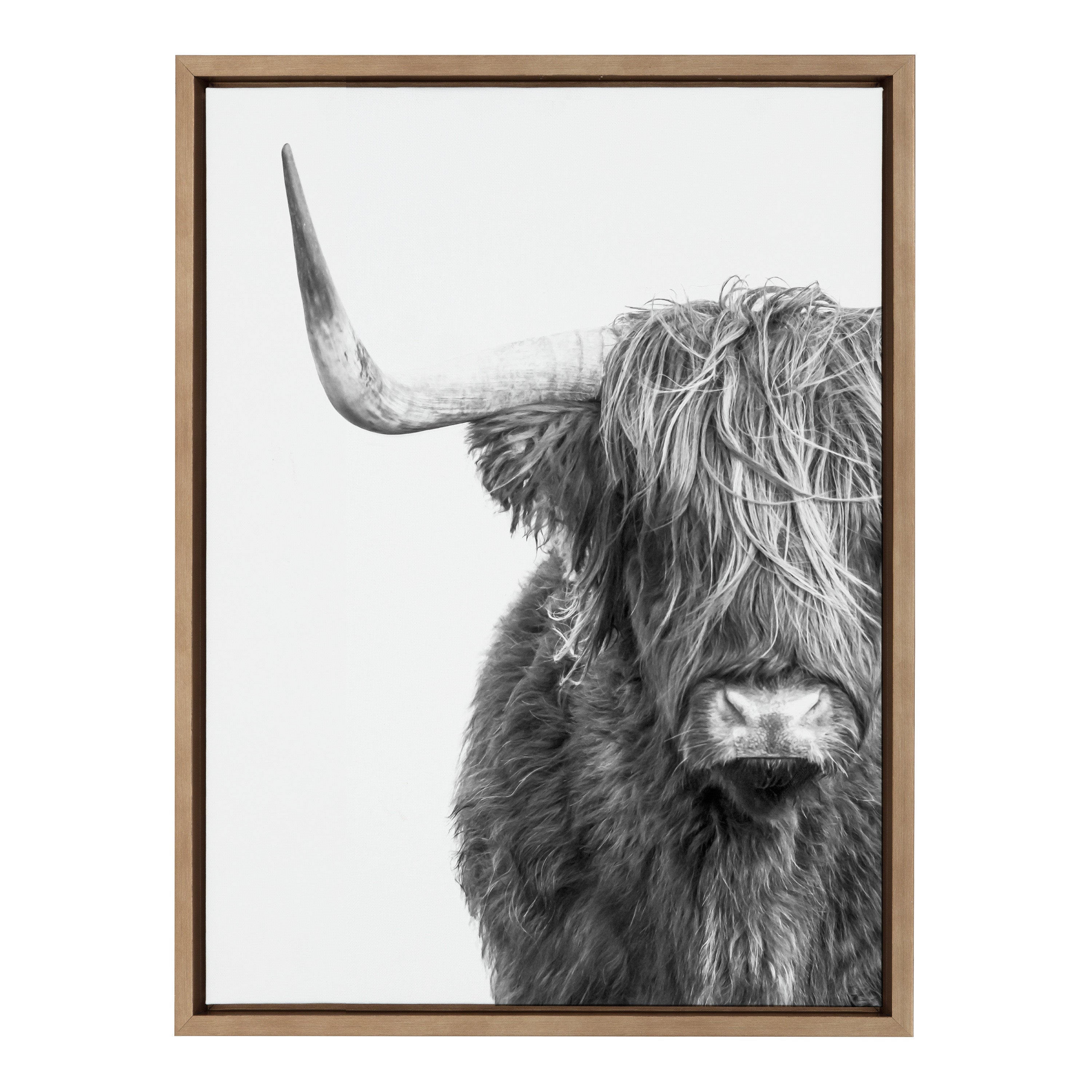 Sylvie B&W Highland Cow No. 1 Framed Canvas by Amy Peterson Art Studio