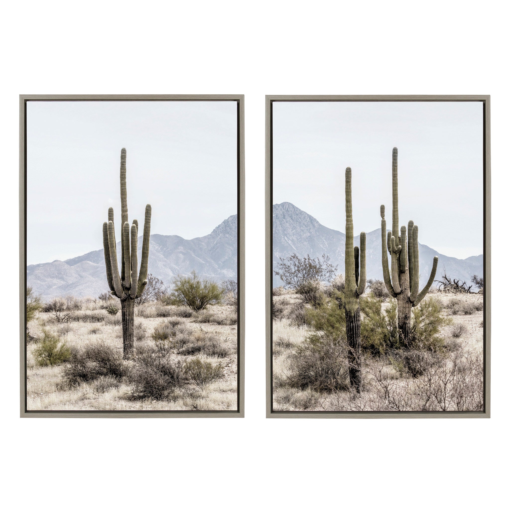 Sylvie Tall Saguaro Cacti Desert Mountain 1 and 2 Framed Canvas by kateandlaurel - product image 2 for Resin Society
