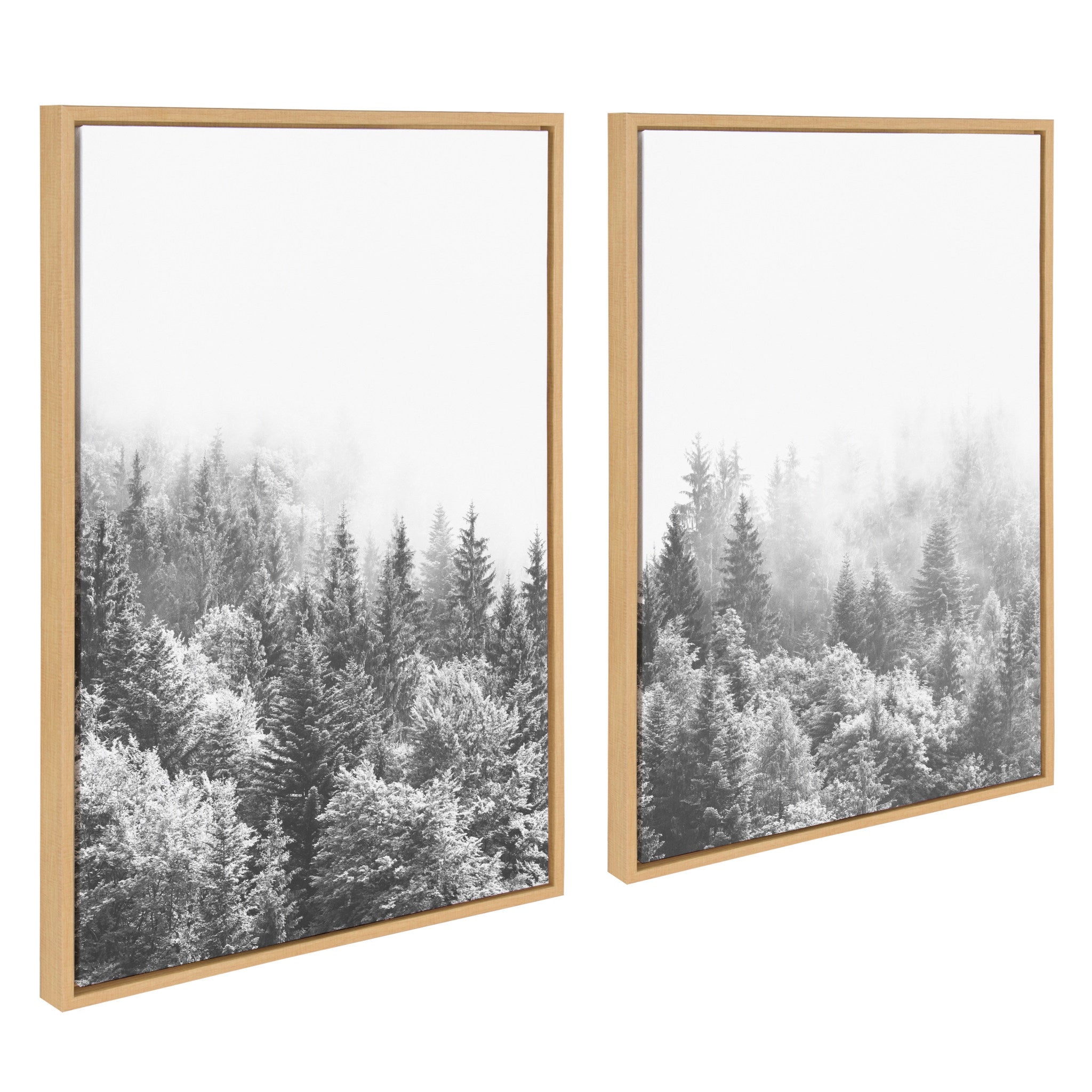 Sylvie Forest On A Foggy Day Black and White Framed Canvas Set by The by kateandlaurel - product image 2 for Resin Society