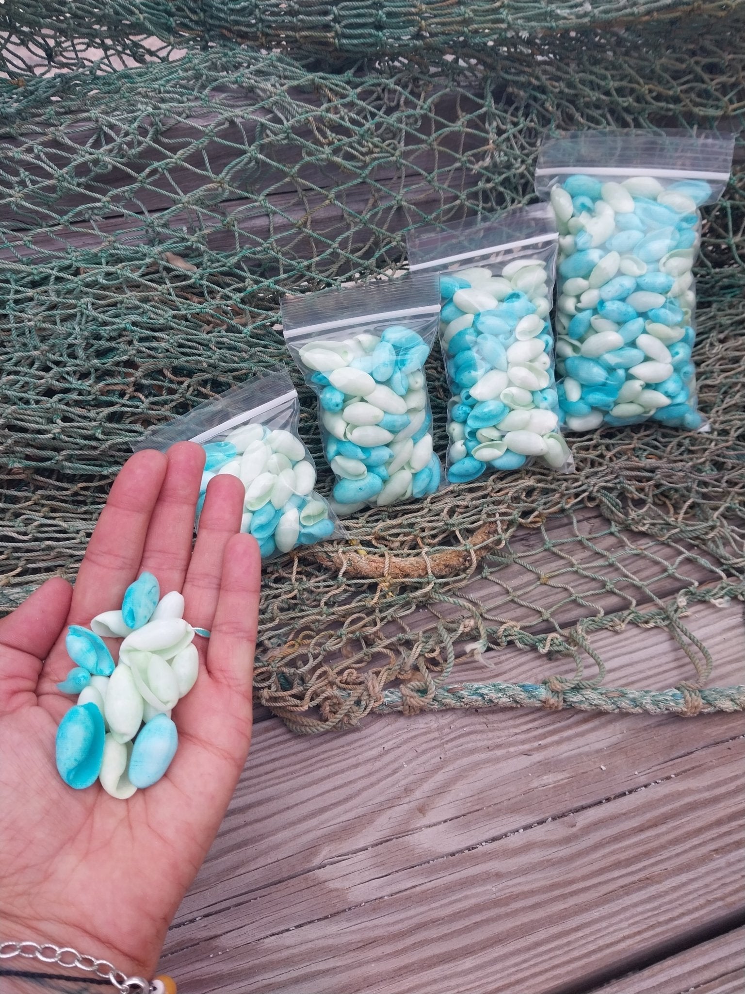 Bulk pastel dyed bubble shells in soft pink, blue, seafoam green, and yellow shades for crafting and DIY projects