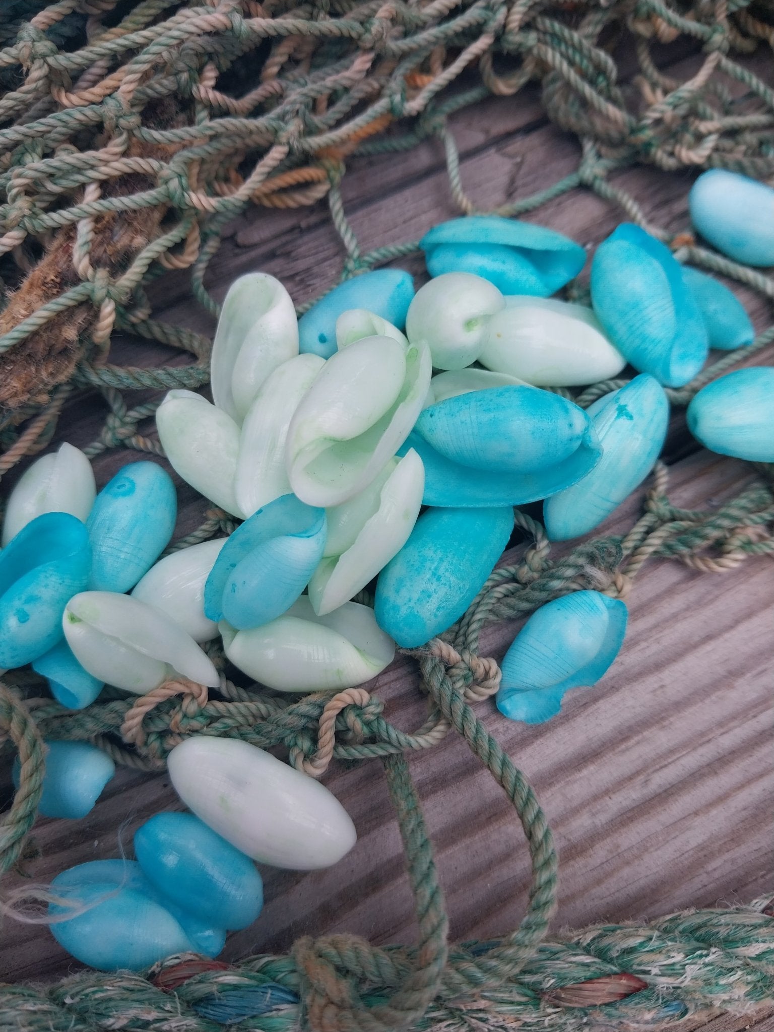 Bulk pastel dyed bubble shells in soft pink, blue, seafoam green, and yellow shades for crafting and DIY projects