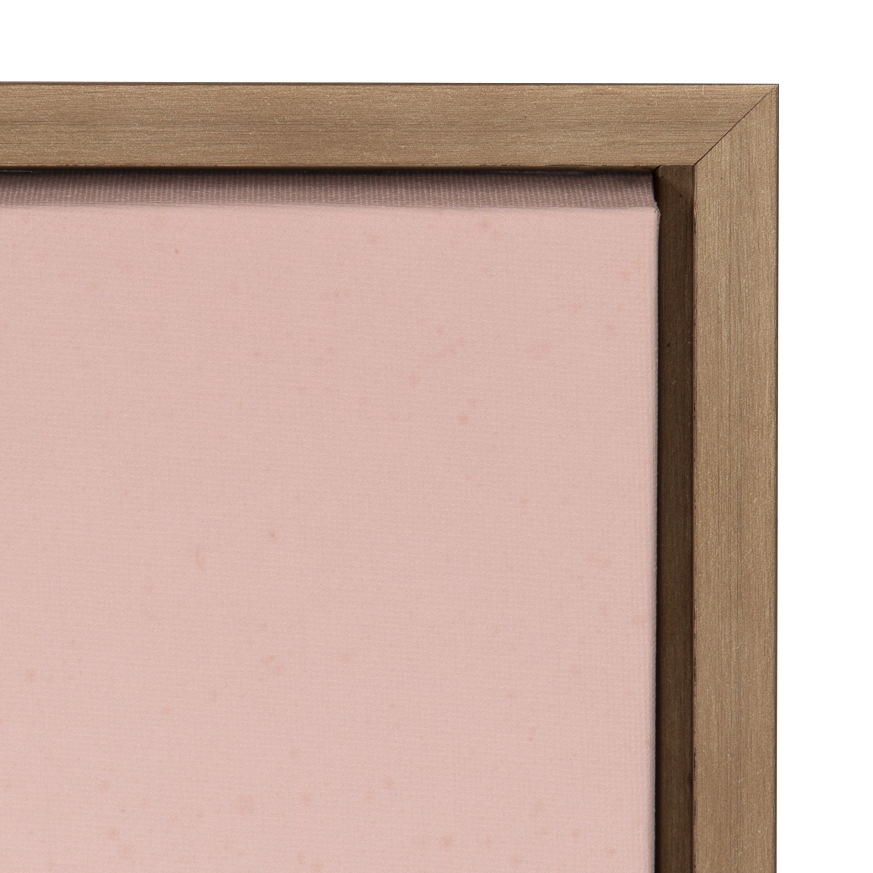 Sylvie Succulent 10 Framed Canvas by kateandlaurel - product image 3 for Resin Society