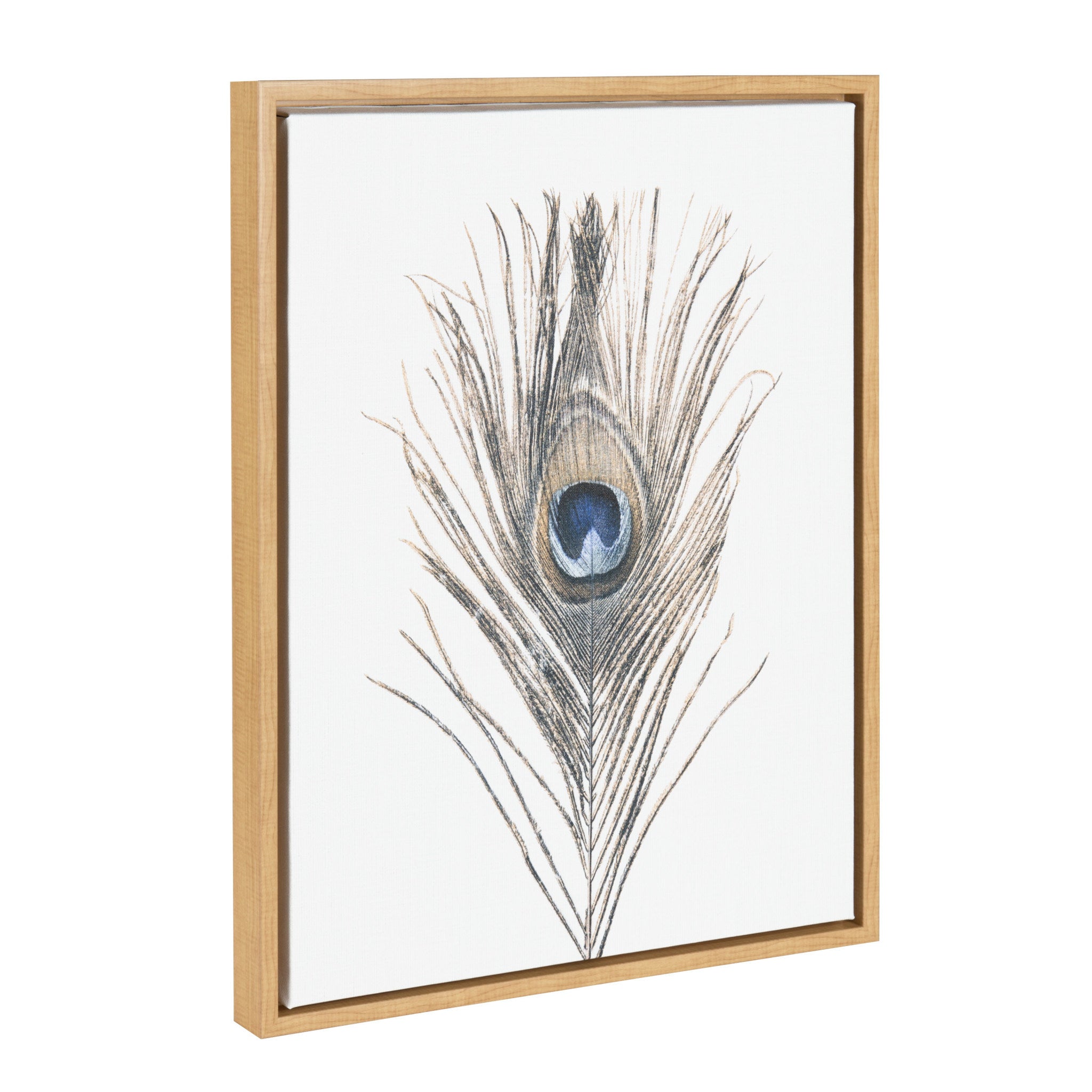 Sylvie Peacock Feather Framed Canvas by Simon Te of Tai Prints