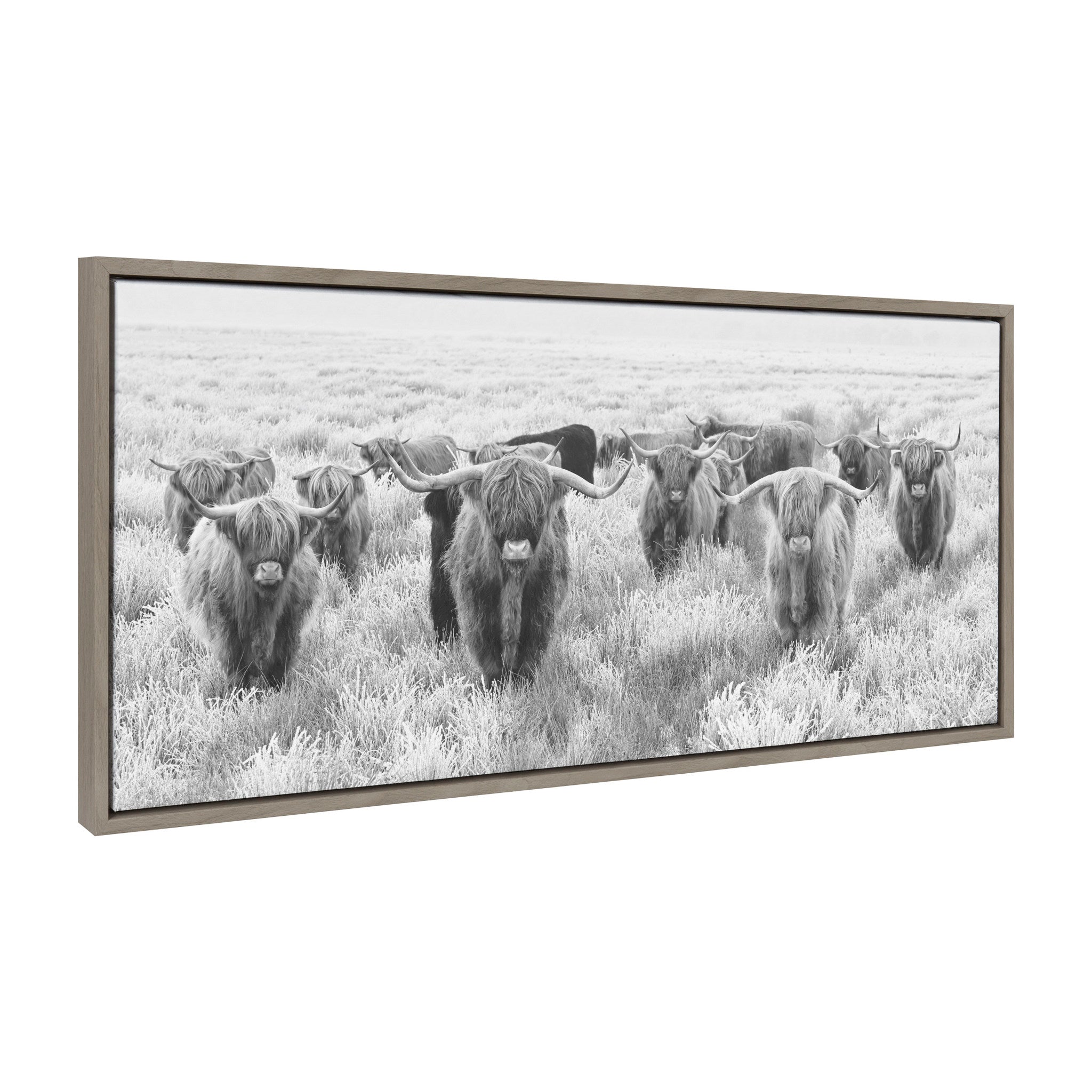 Sylvie Herd of Highland Cows Black and White Framed Canvas by The by kateandlaurel - product image 5 for Resin Society