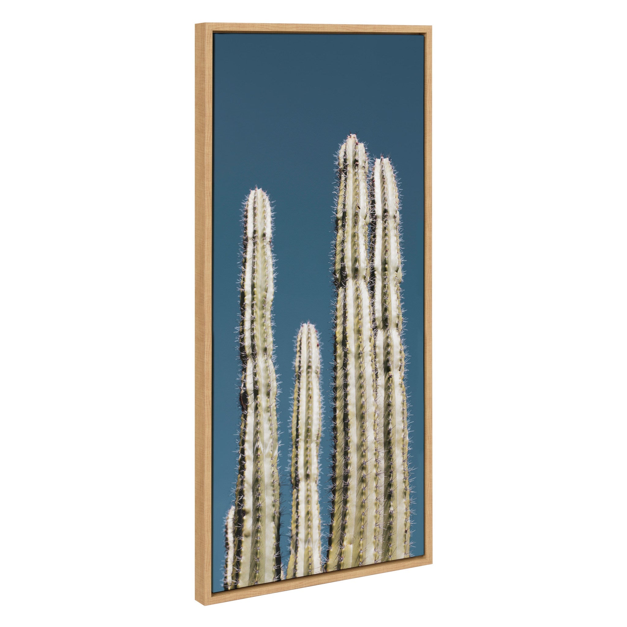Sylvie Cactus Sky tall scenic cacti framed canvas art by Stephanie Klatt