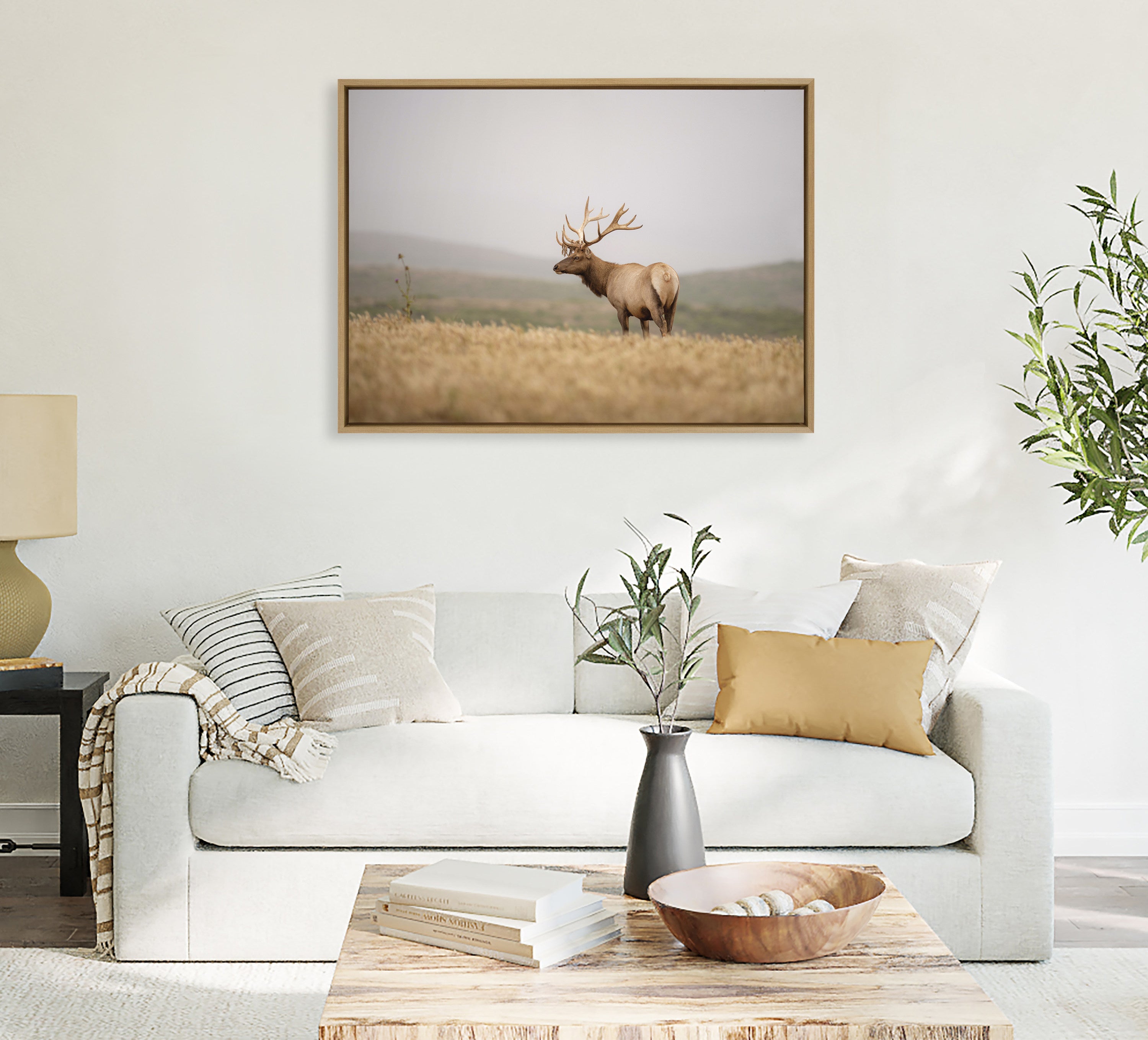 Sylvie Tule Elk No 3 Framed Canvas by kateandlaurel - product image 10 for Resin Society