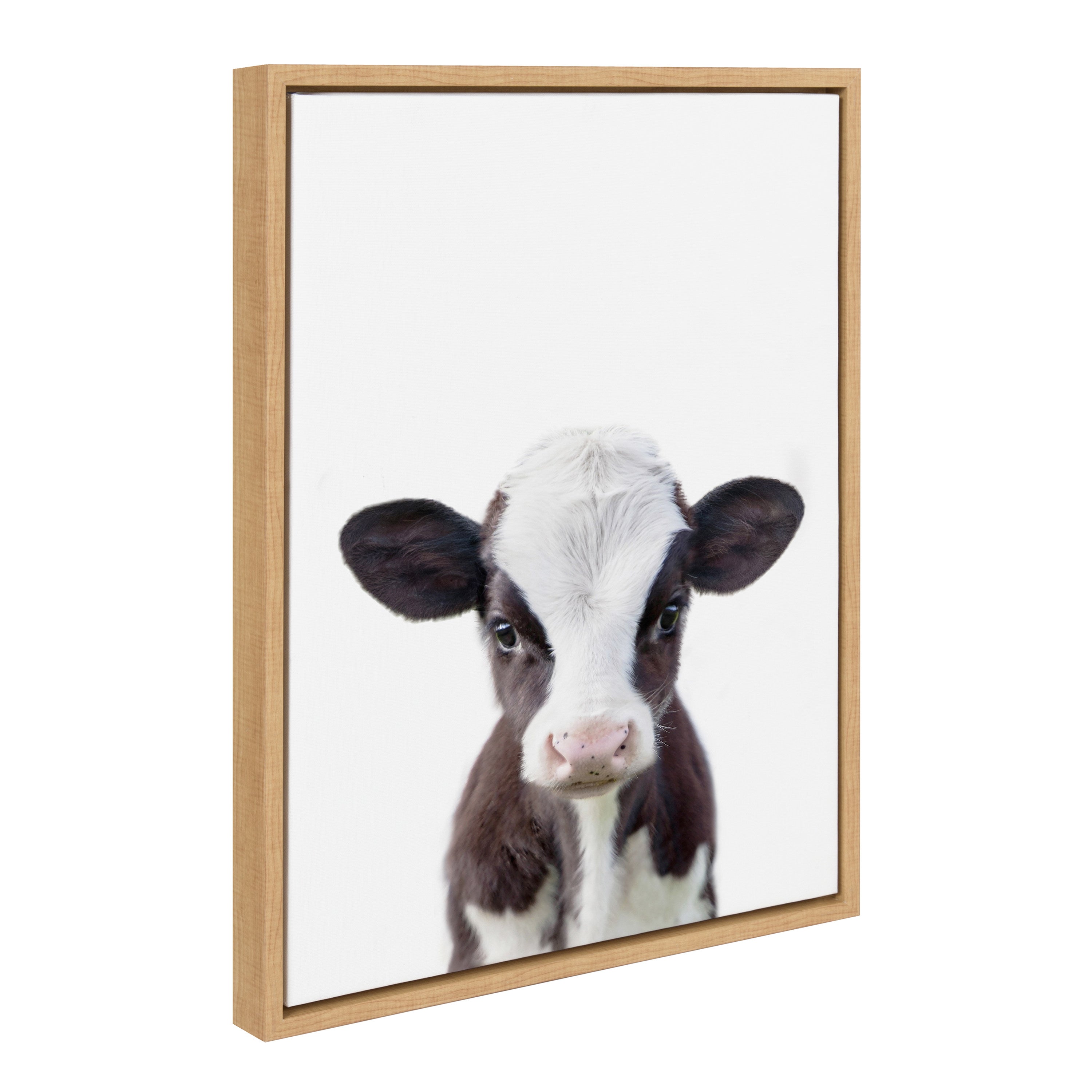 Sylvie Baby Cow Portrait Framed Canvas by Amy Peterson by kateandlaurel - product image 7 for Resin Society