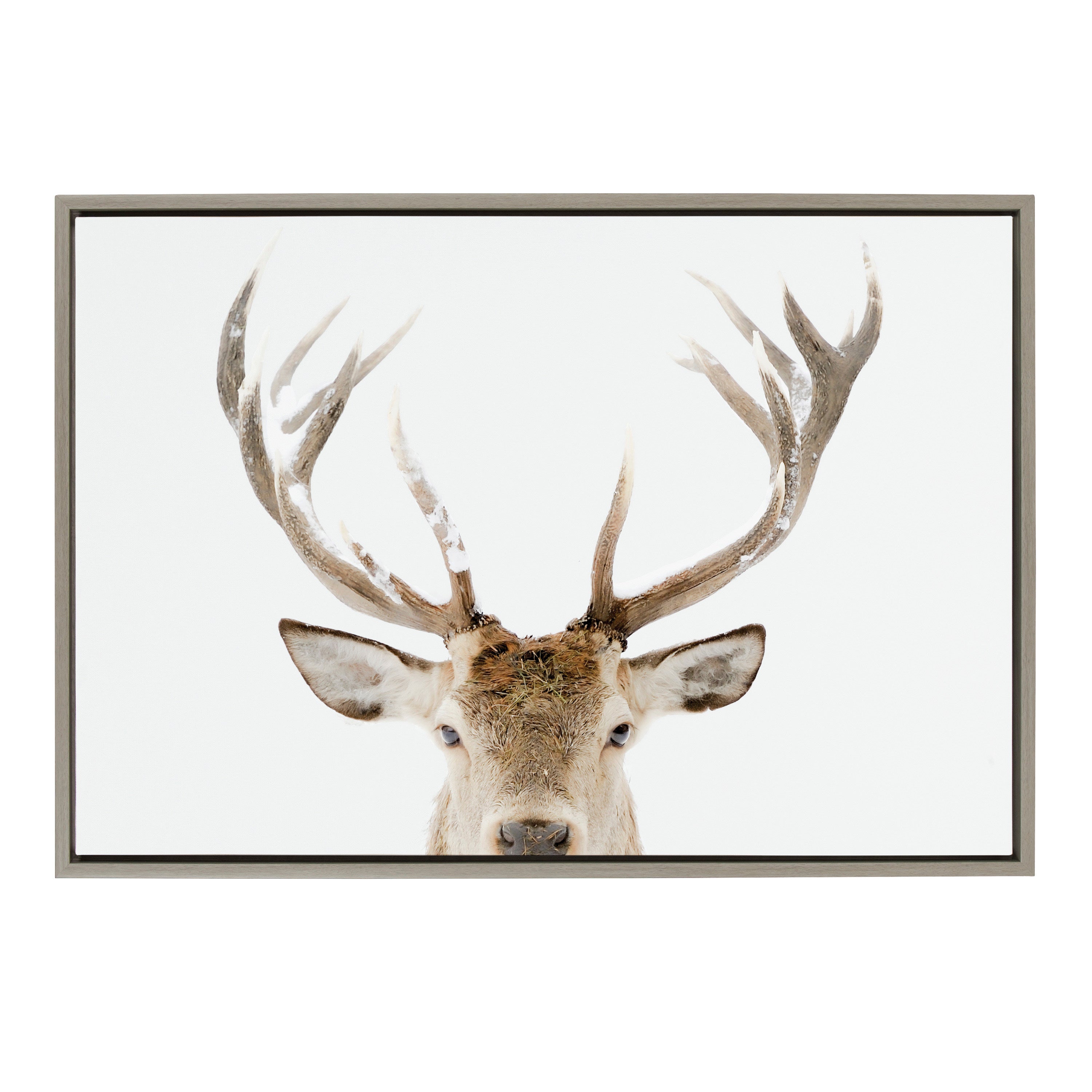 Sylvie Stag Peekaboo Framed Canvas by Amy Peterson Art Studio