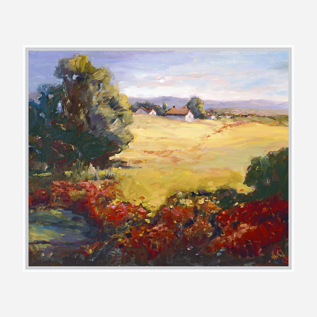 Poppy Fields Artist Enhanced Canvas Print by John Beard Collection - product image 6 for Resin Society