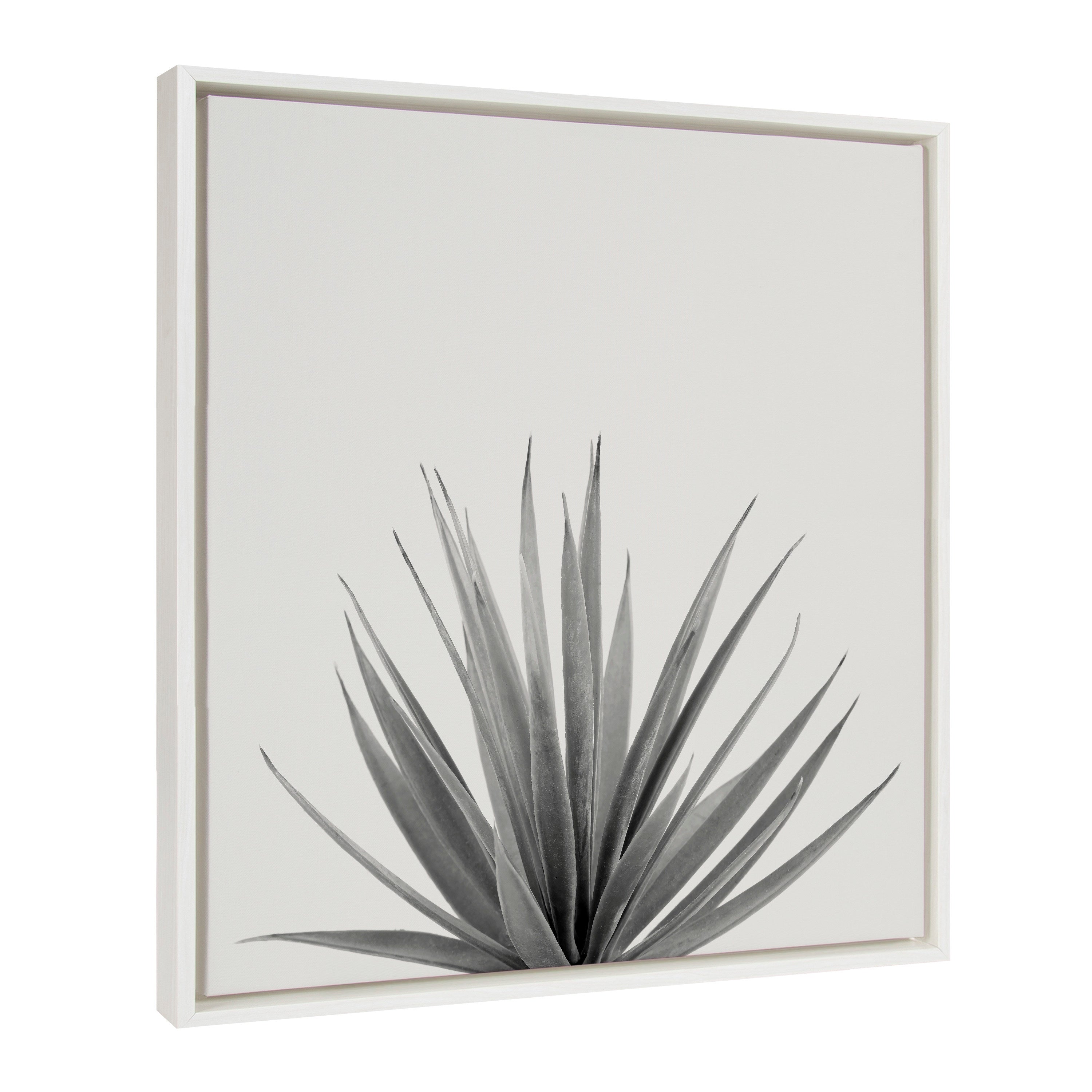 Sylvie Haze Agave Succulent Framed Canvas by The Creative Bunch Studio by kateandlaurel - product image 2 for Resin Society