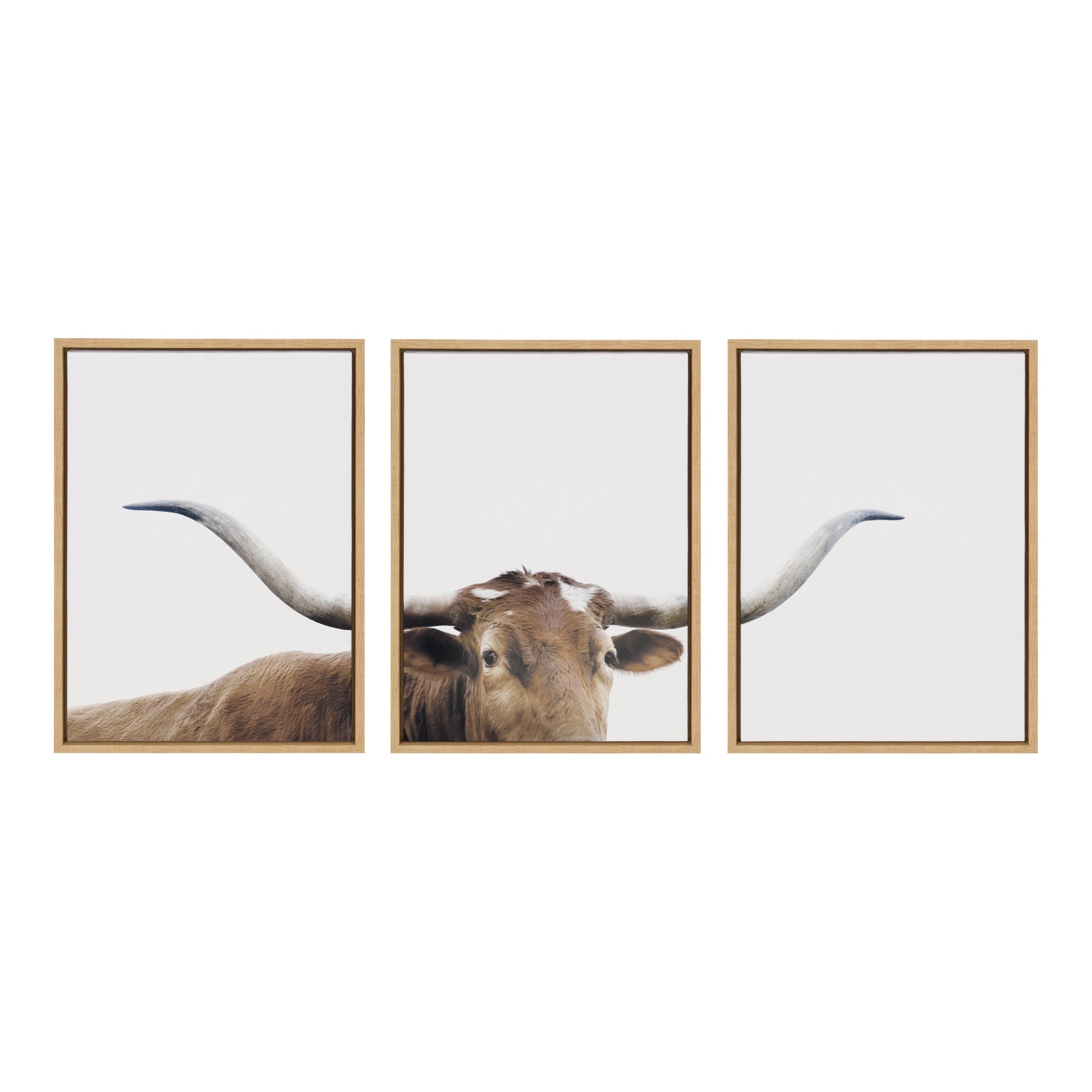 Sylvie Texas Longhorn 1 2 3 Framed Canvas by kateandlaurel - product image 2 for Resin Society