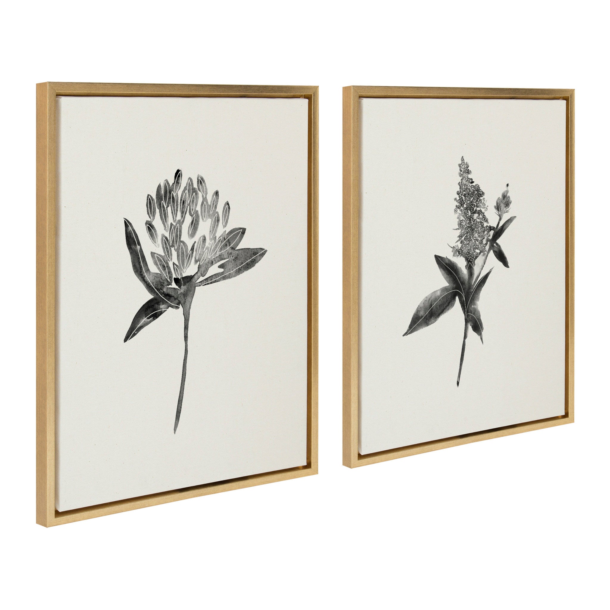 Sylvie Vintage Botanical 1 and 2 Framed Canvas by kateandlaurel - product image 2 for Resin Society